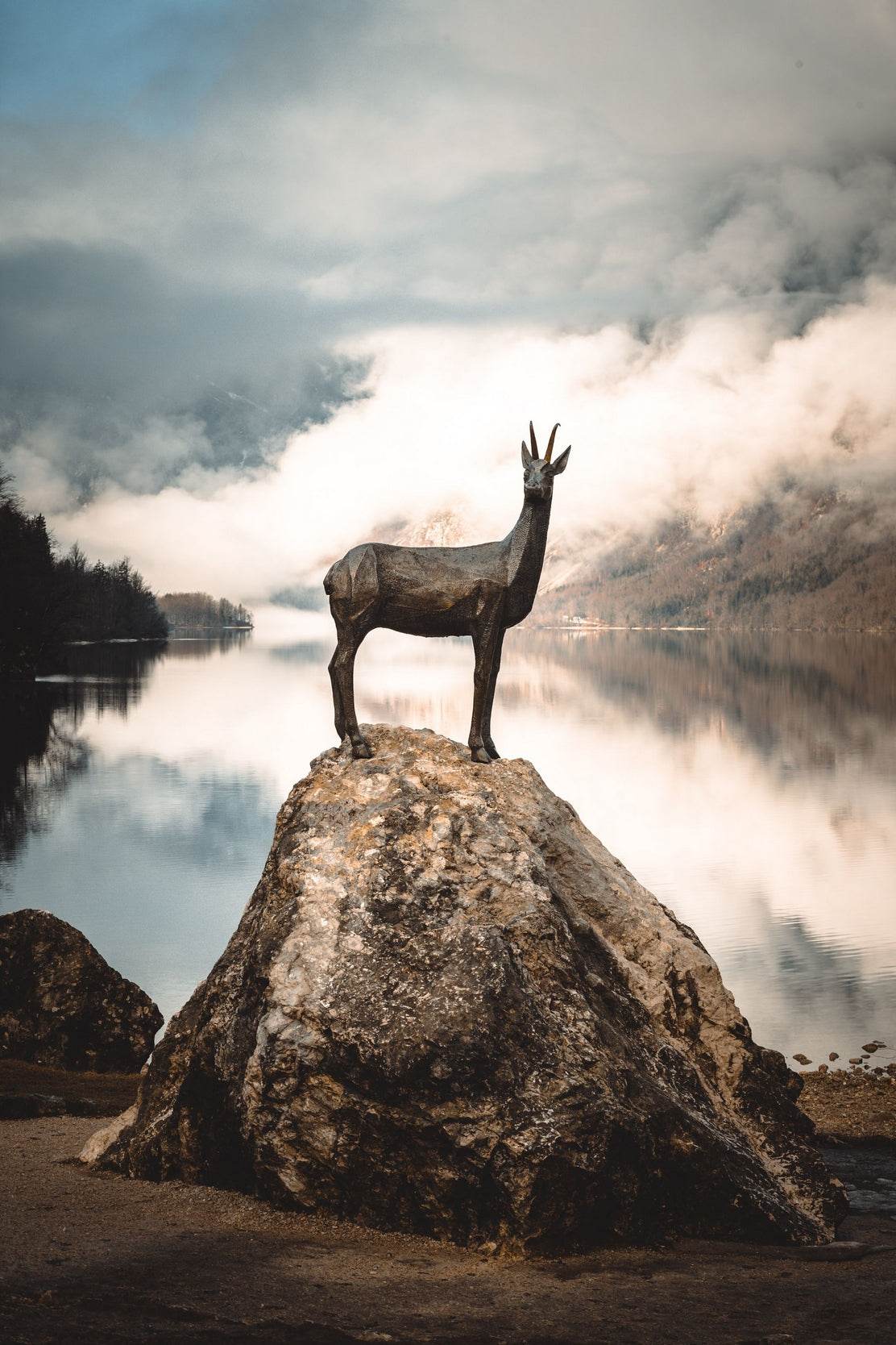 Highland Deer Animal Wall Art - beink online art store