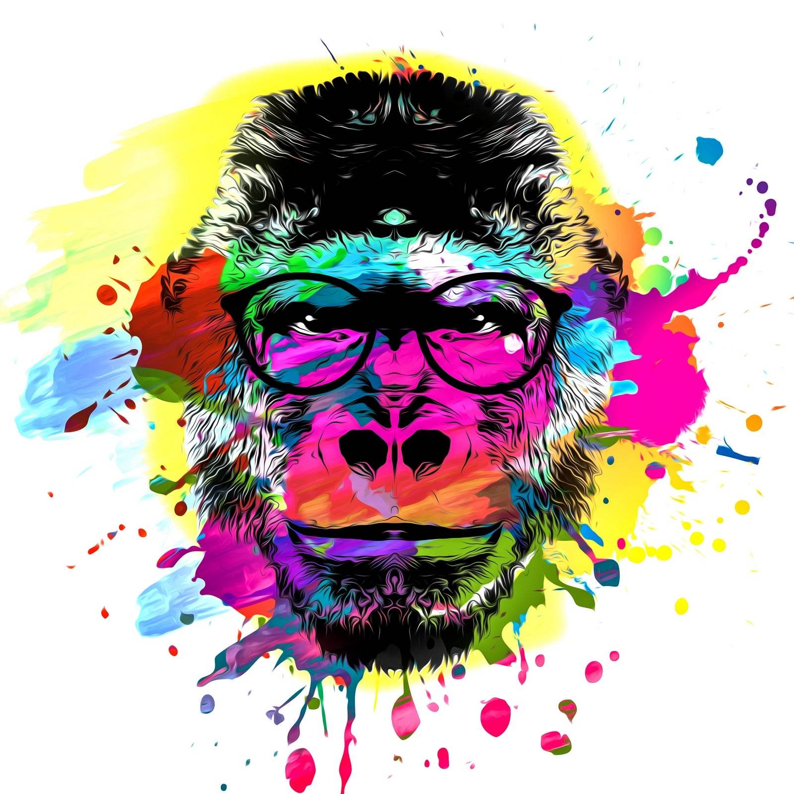 Artistic Color Monkey Muzzle in Eyeglasses - beink online art store