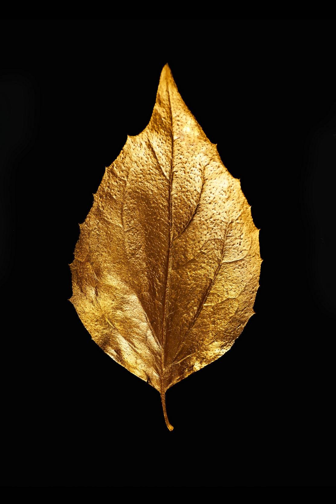 Golden And Black Dry Leave - beink online art store