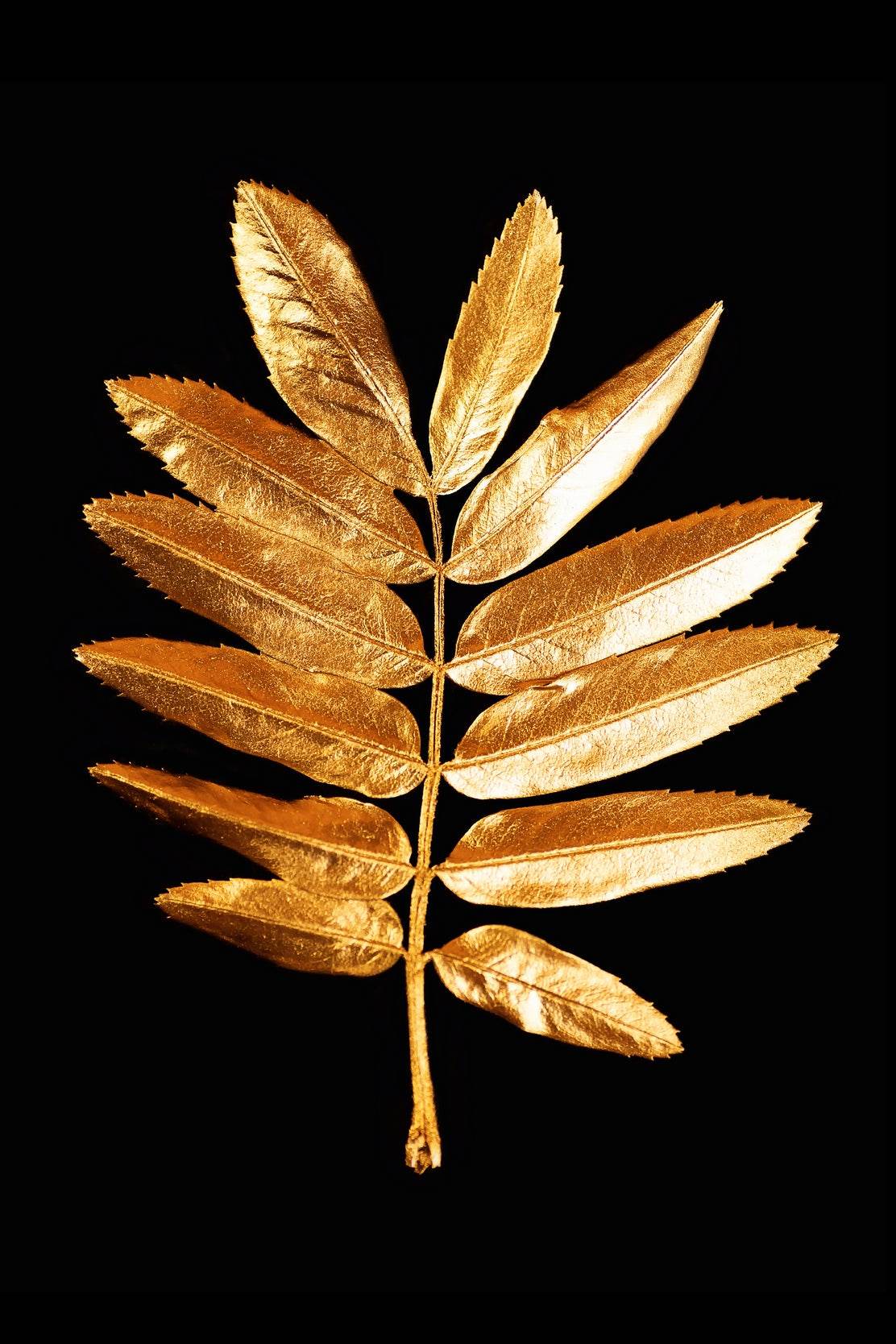 Golden Fern Leaf Wall Art - beink online art store