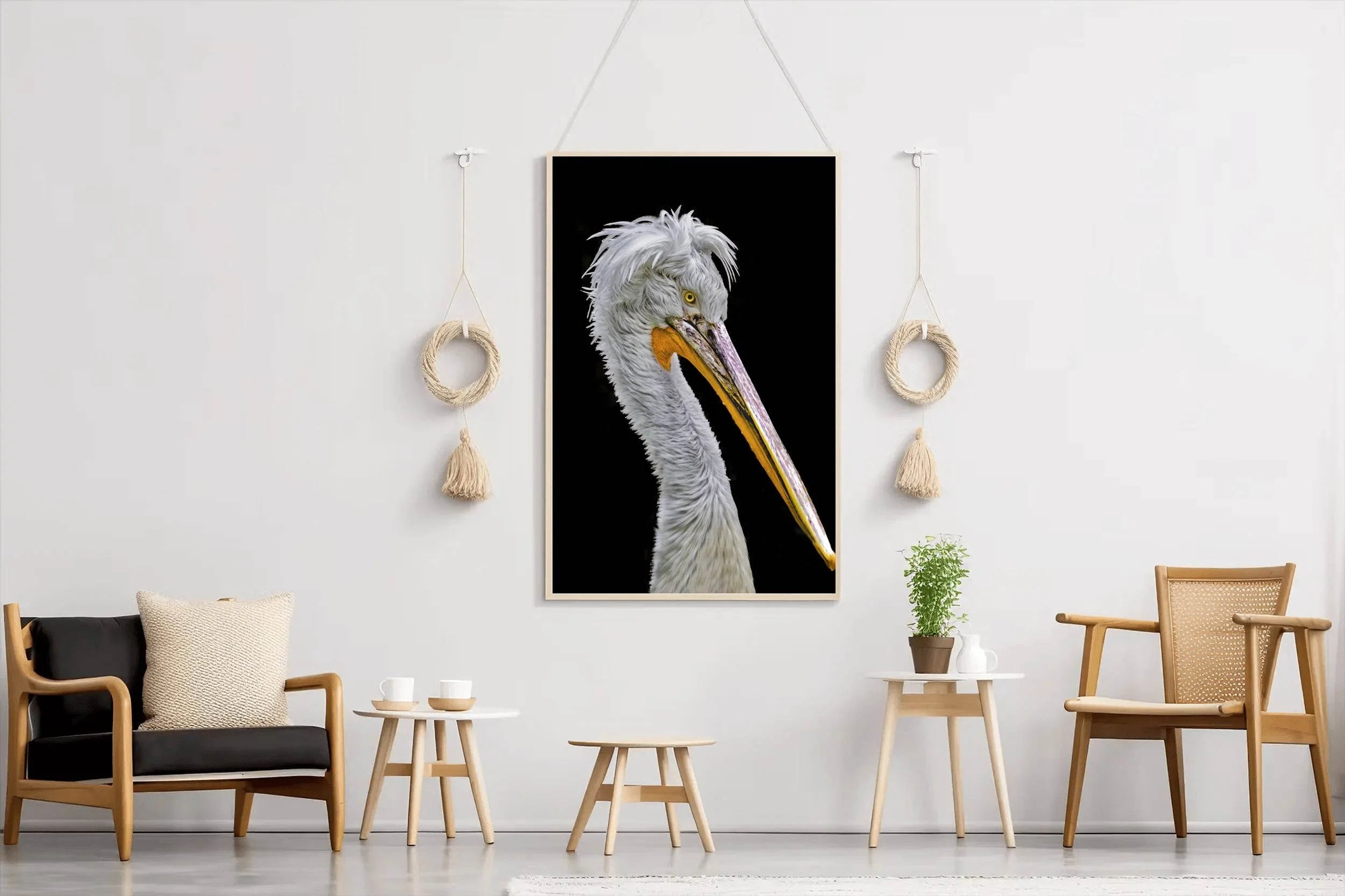 Picture of White Dalmatian Pelican - beink online art store