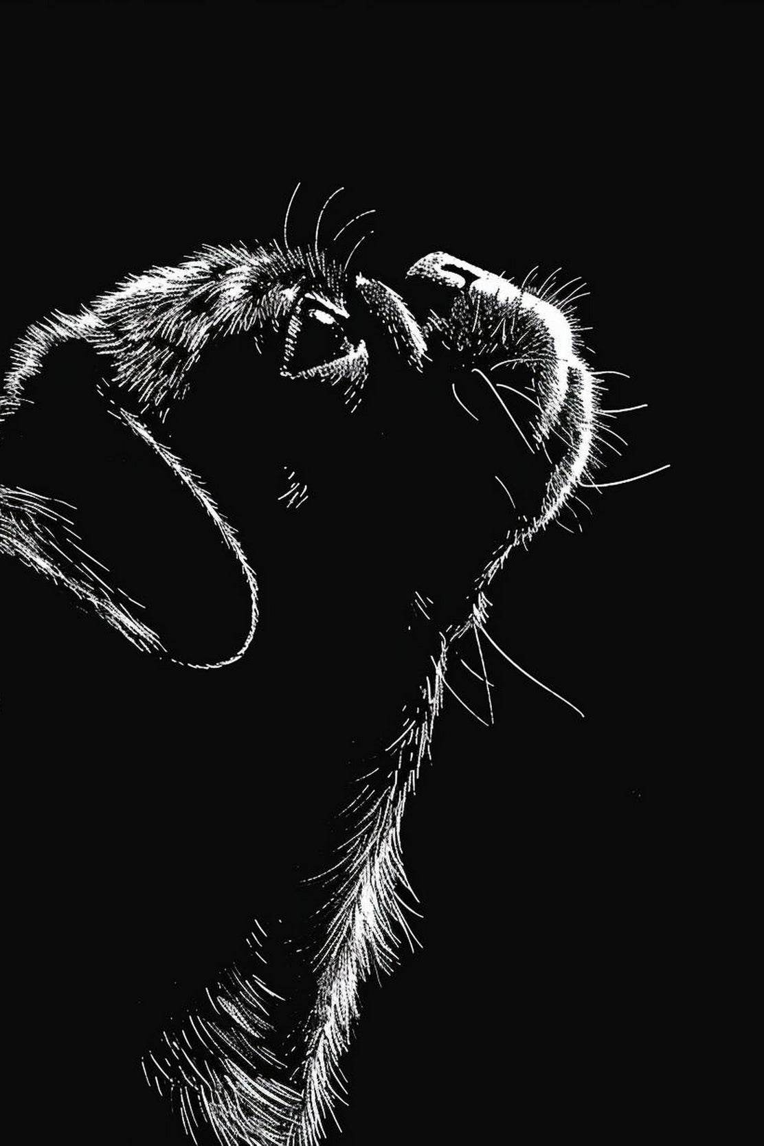 Drawing of Black & White Dog Wall Art - beink online art store