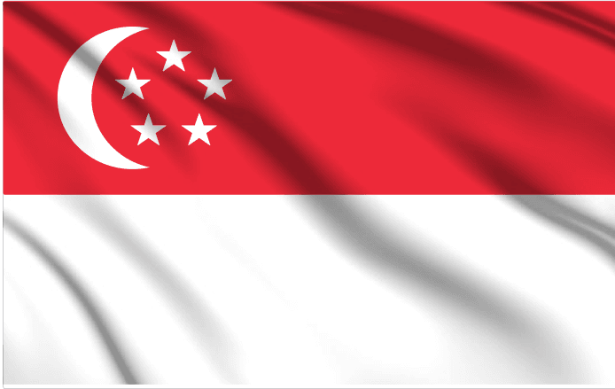 Singapore National Flag Wall Art - beink online art store