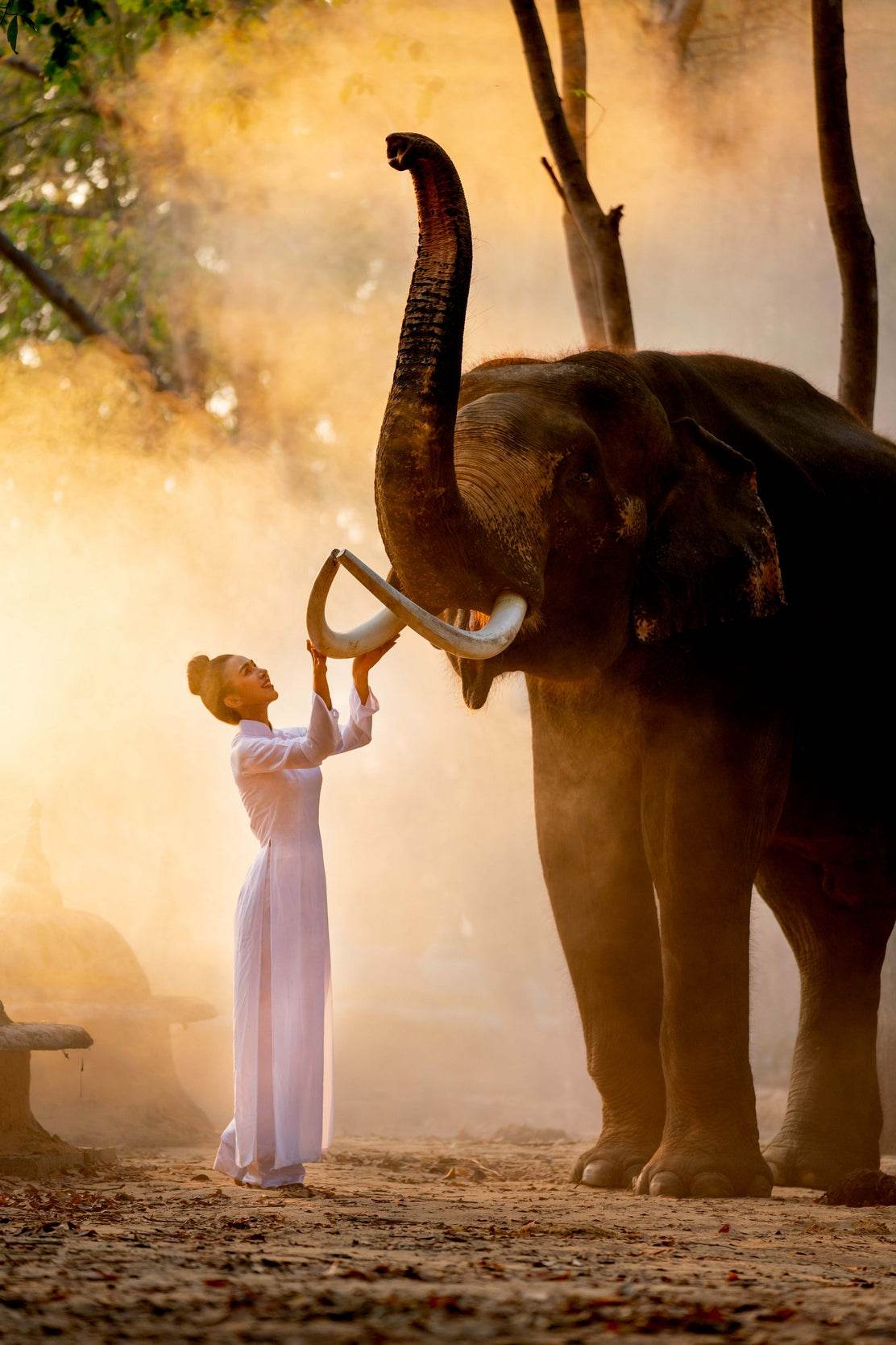Women and Elephant Animal Wall Art - beink online art store
