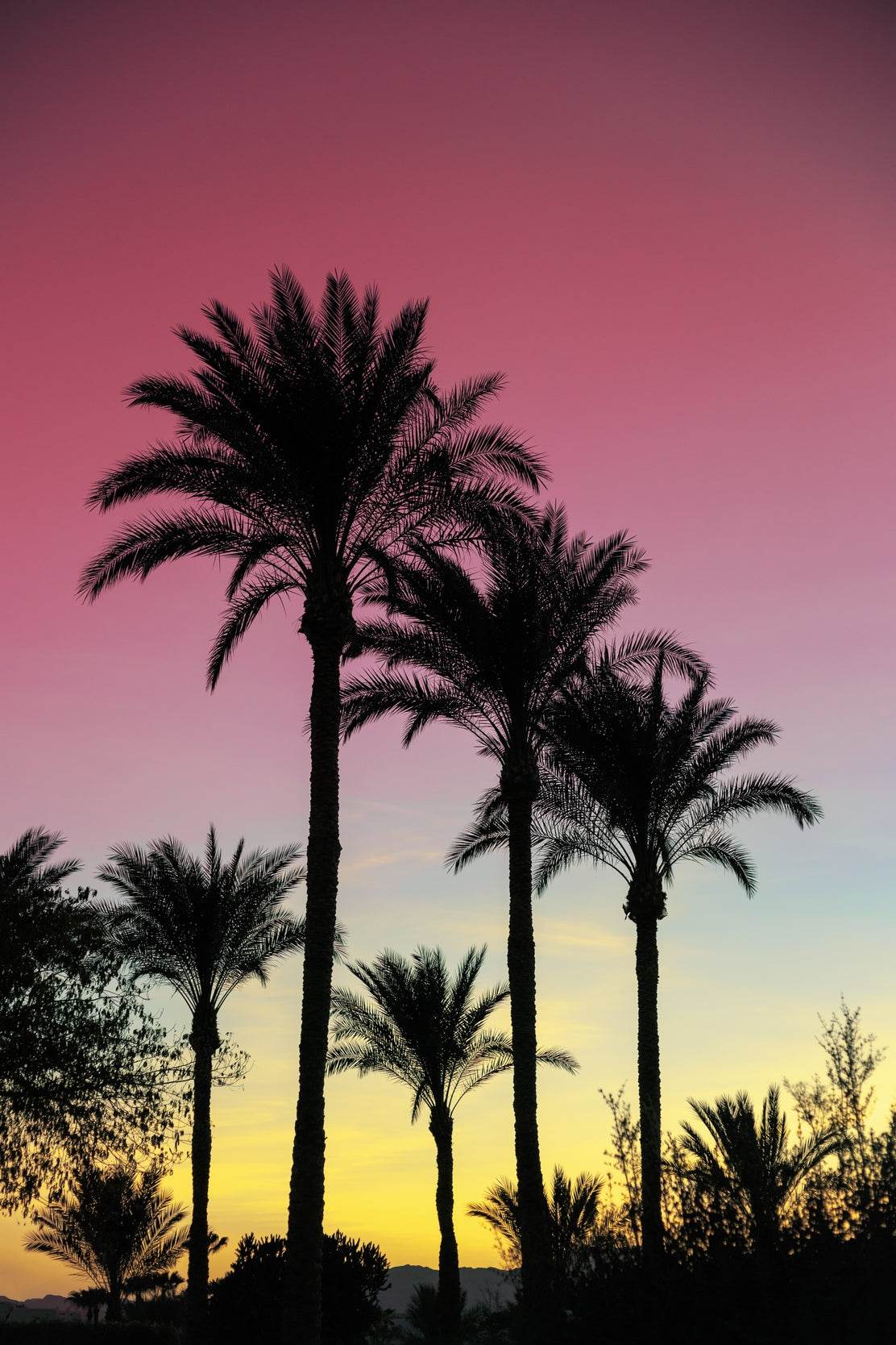 Purple Hues Wall Art - beink online art store