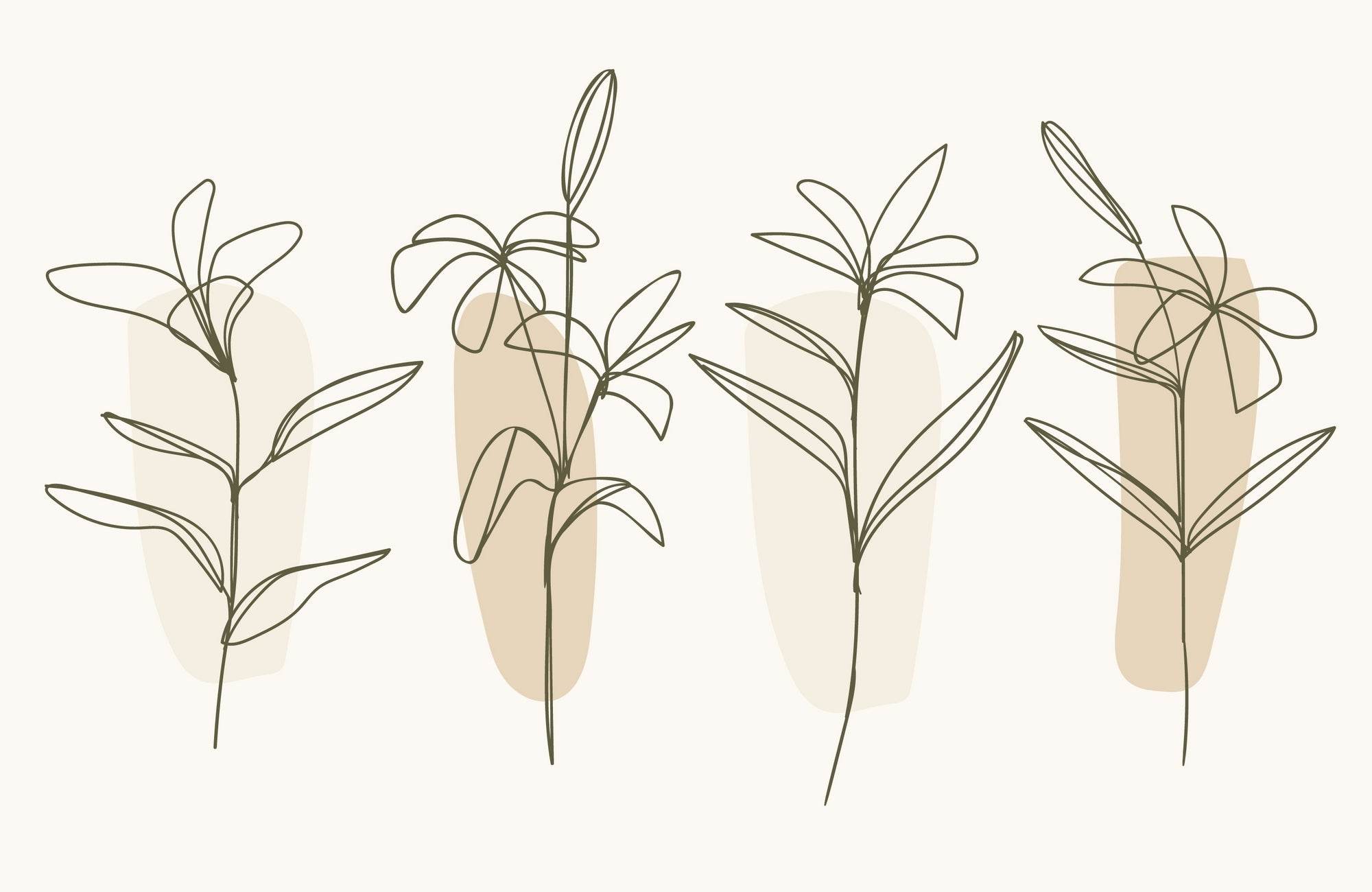 Beautiful Tropical Flowers Line Art - beink online art store