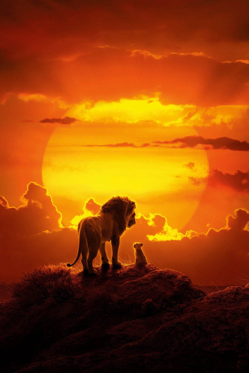 THE LION KING into Sunset Wall Art - beink online art store