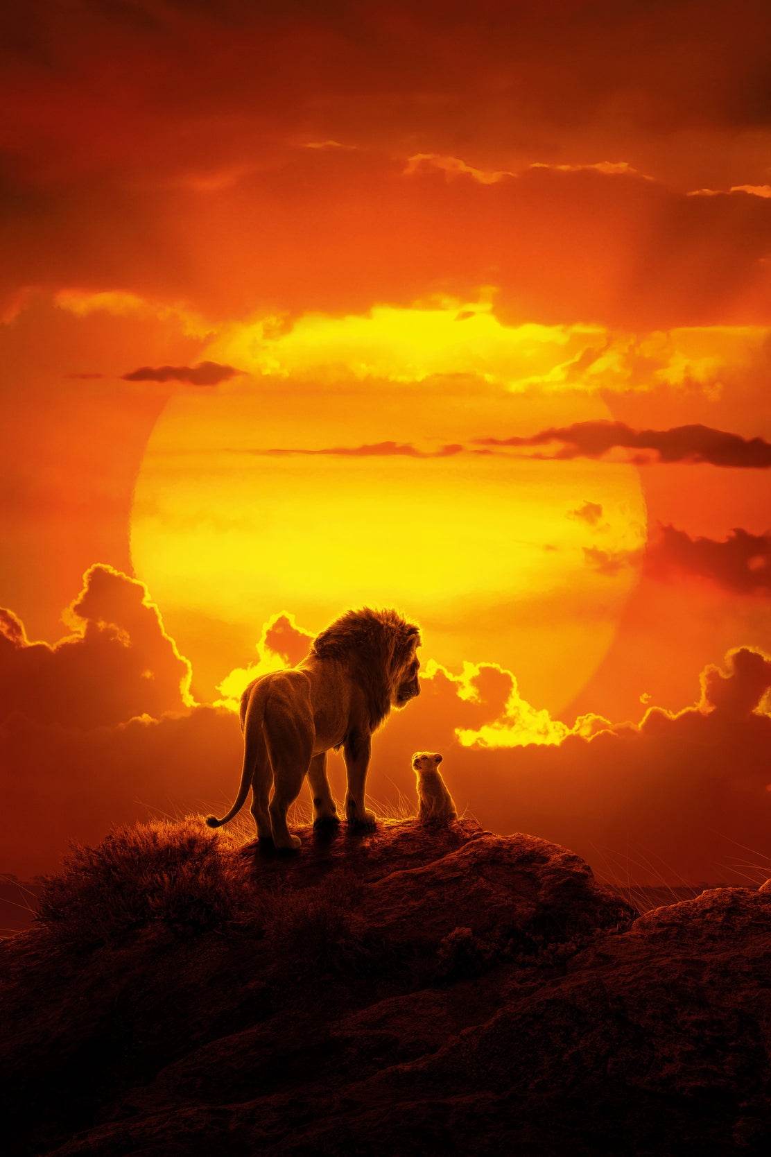THE LION KING into Sunset Wall Art - beink online art store