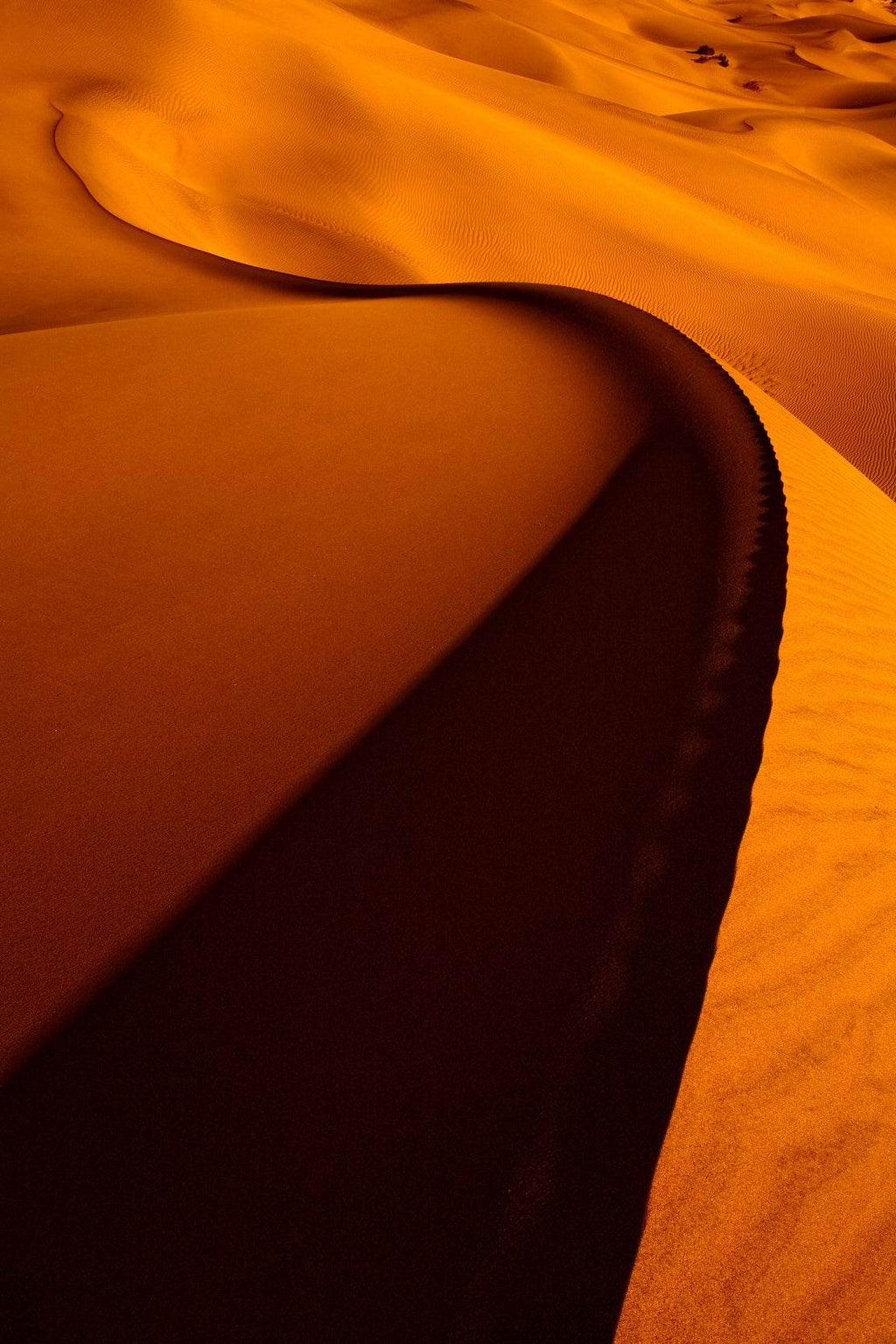 The Way of the Desert Wall Art - beink online art store