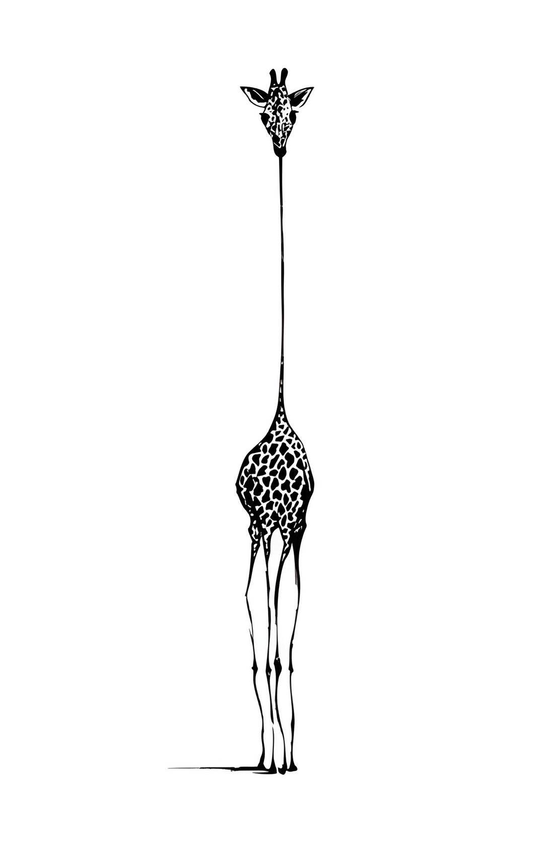 Giraffe- Isolated Observer Wall Art - beink online art store