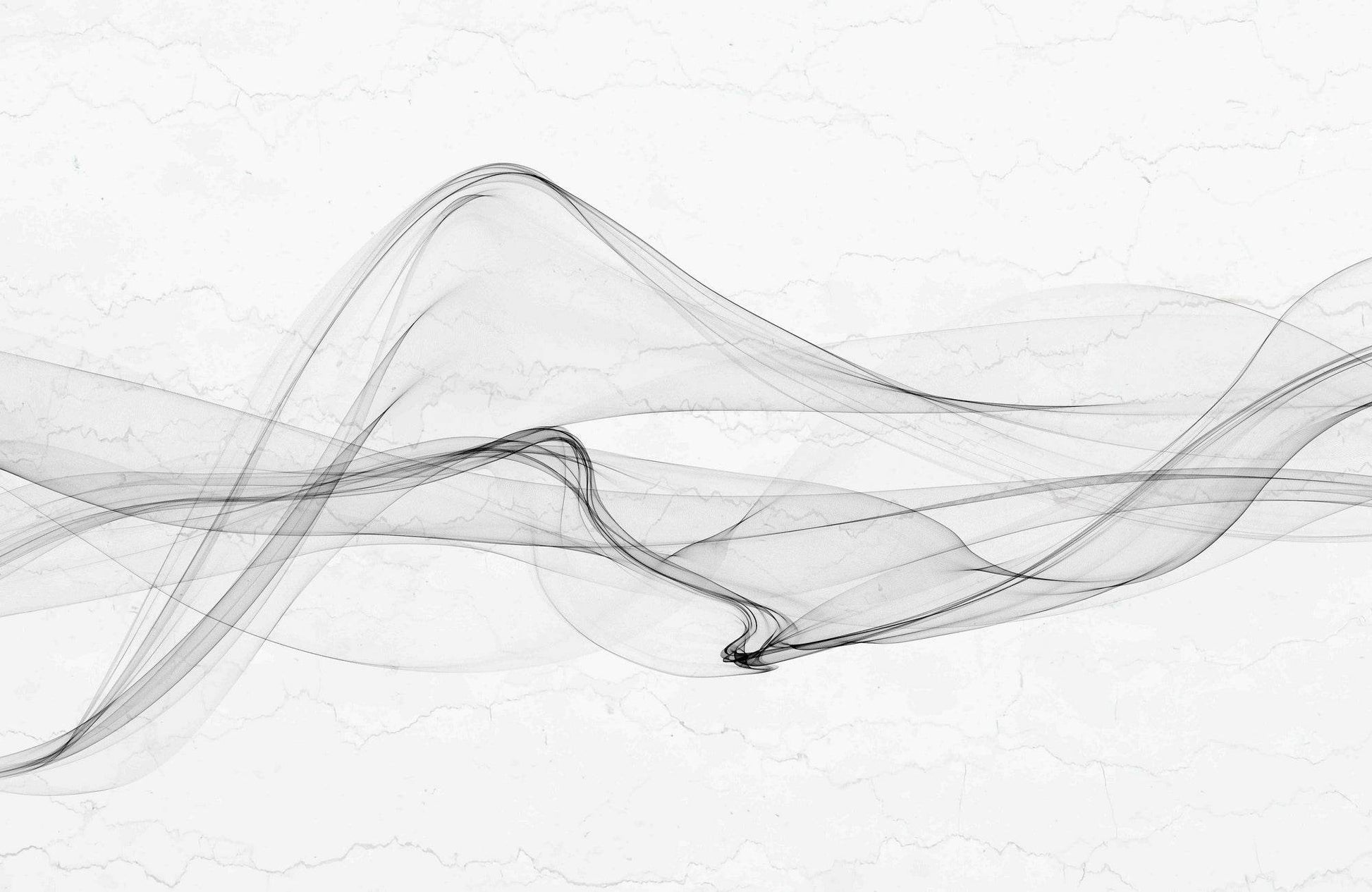Wavy Black Net With White Background Abstrat Wall Art - beink online art store