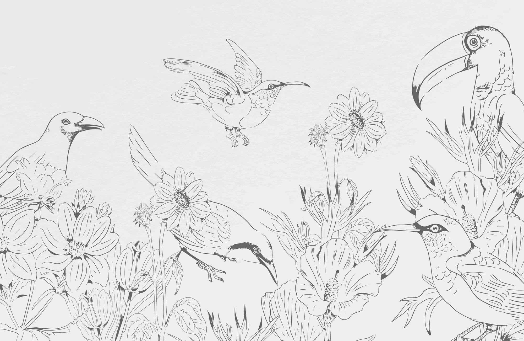 Beautiful Birds Wall Art - beink online art store
