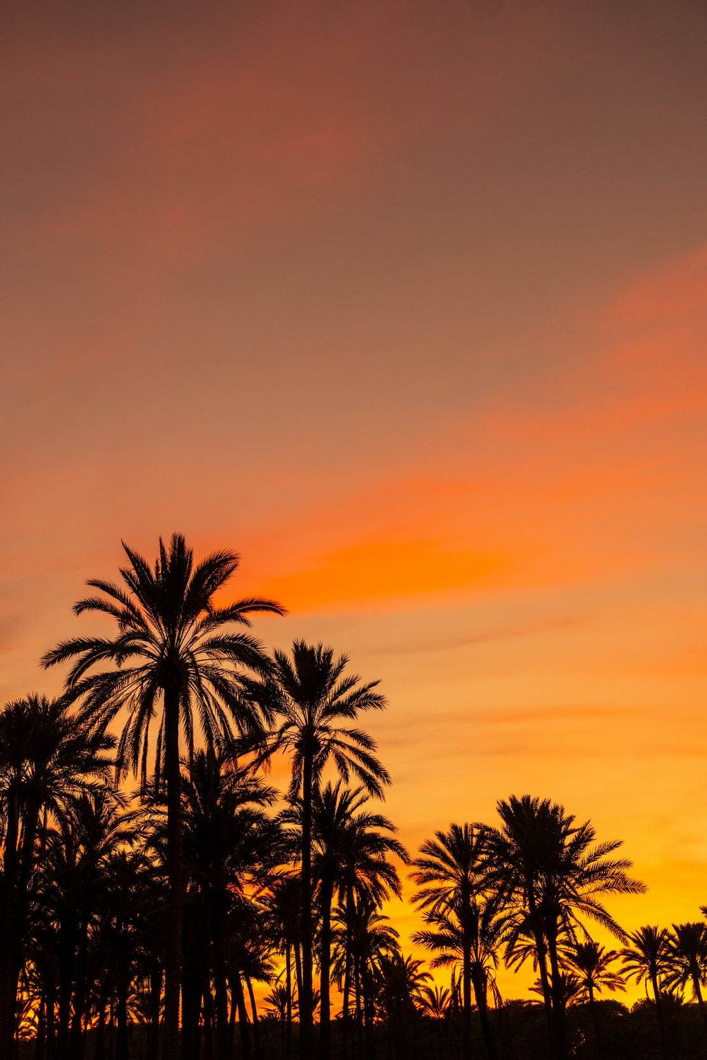 A Golden Sunset Wall Art - beink online art store