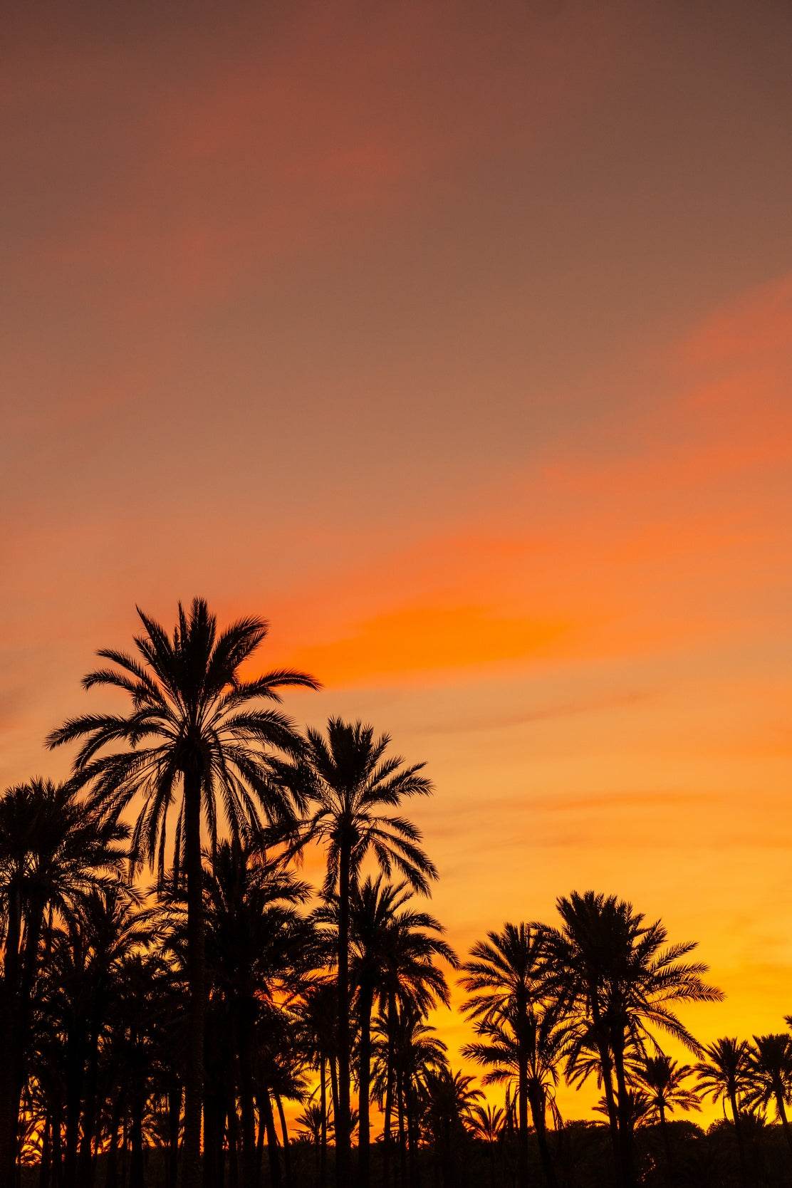 A Golden Sunset Wall Art - beink online art store