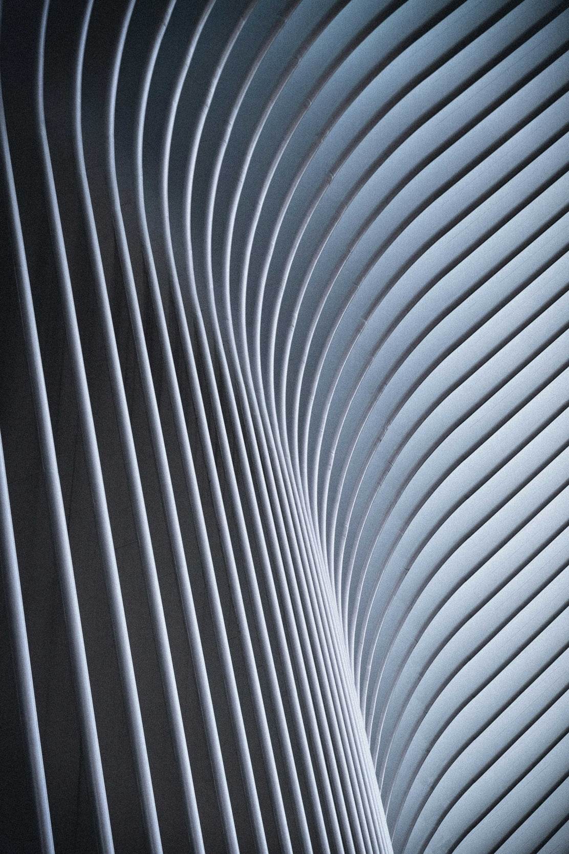 Curved Lines Abstract Wall Art - beink online art store