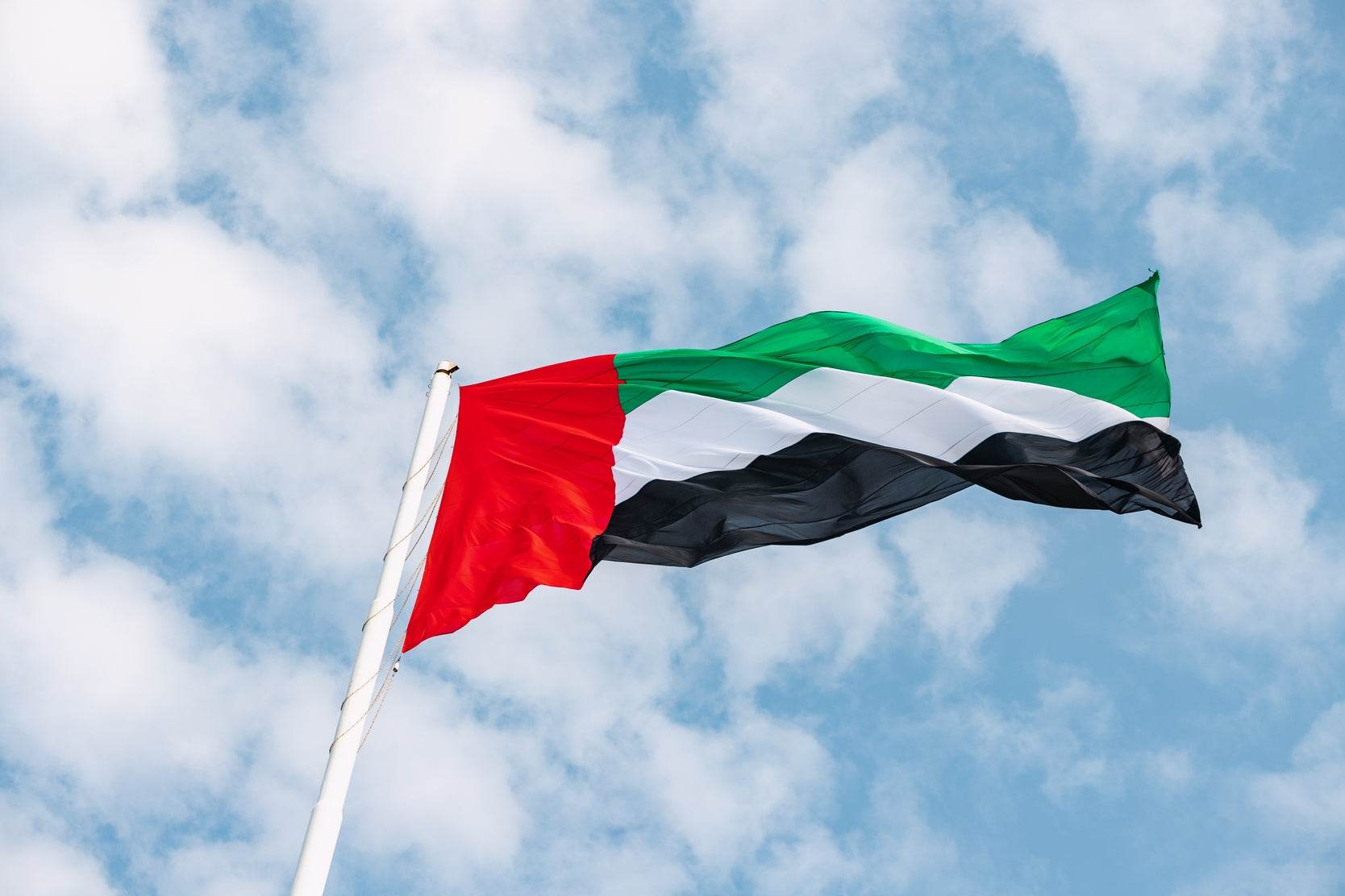 The Pride of UAE Wall Art - beink online art store
