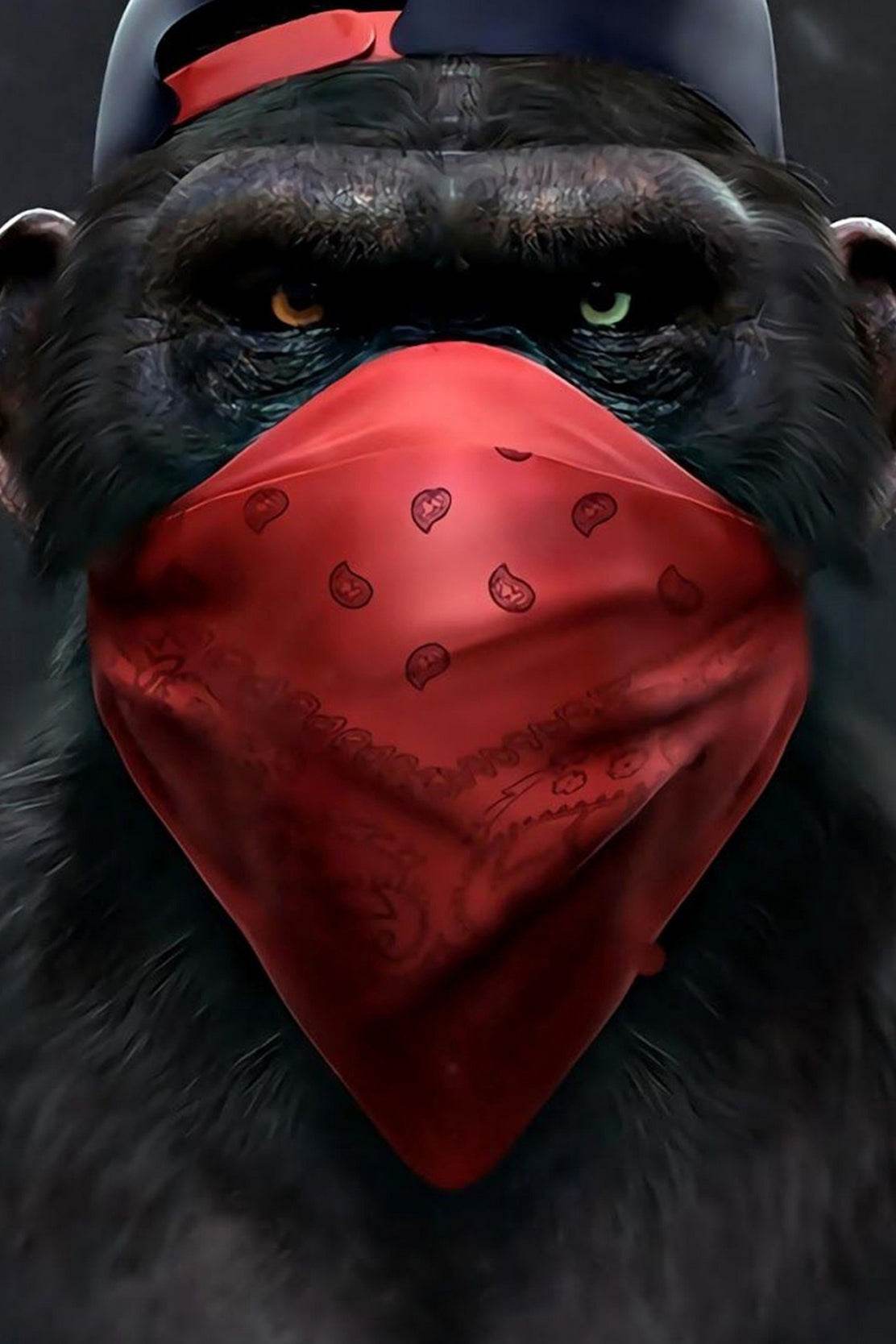 Gorilla Face Mask Wall Art - beink online art store