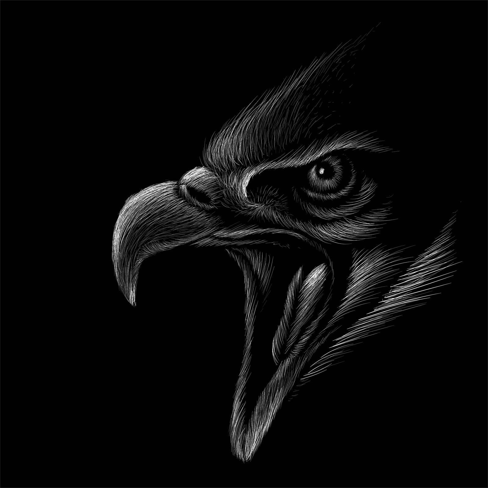 Golden Eagle Black Background Wall Art - beink online art store