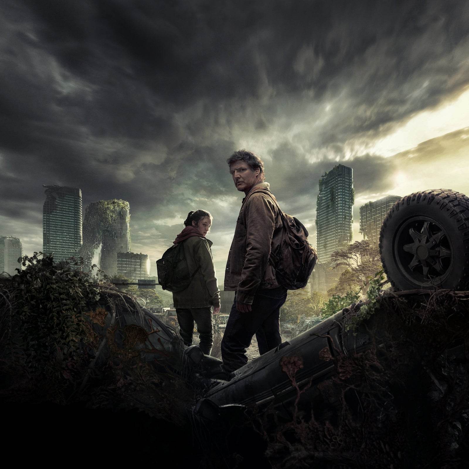 The Last of Us Wall Art - beink online art store