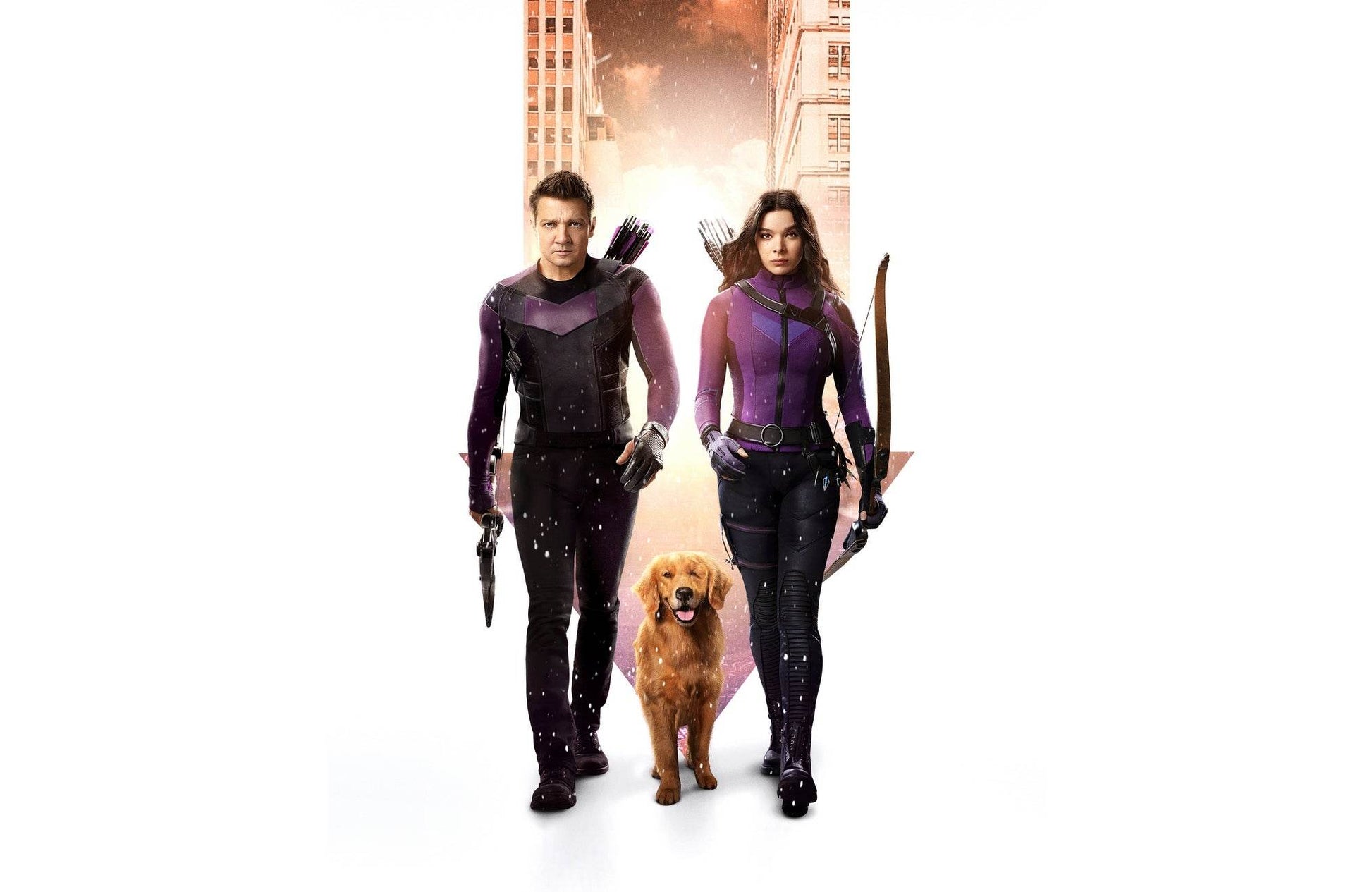 Hawkeye Wall Art - beink online art store