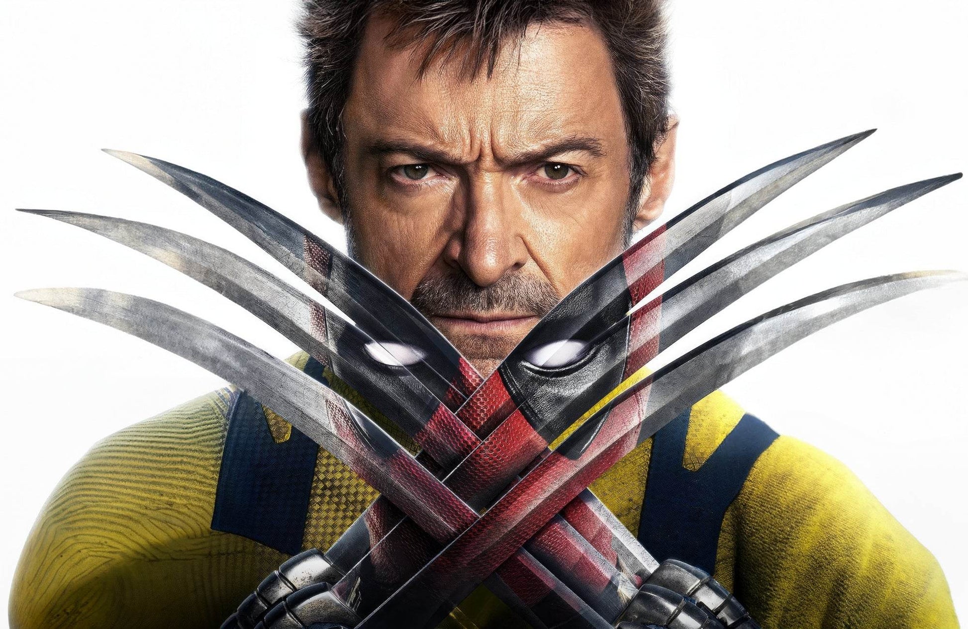 Wolverine Claws Wall Art - beink online art store