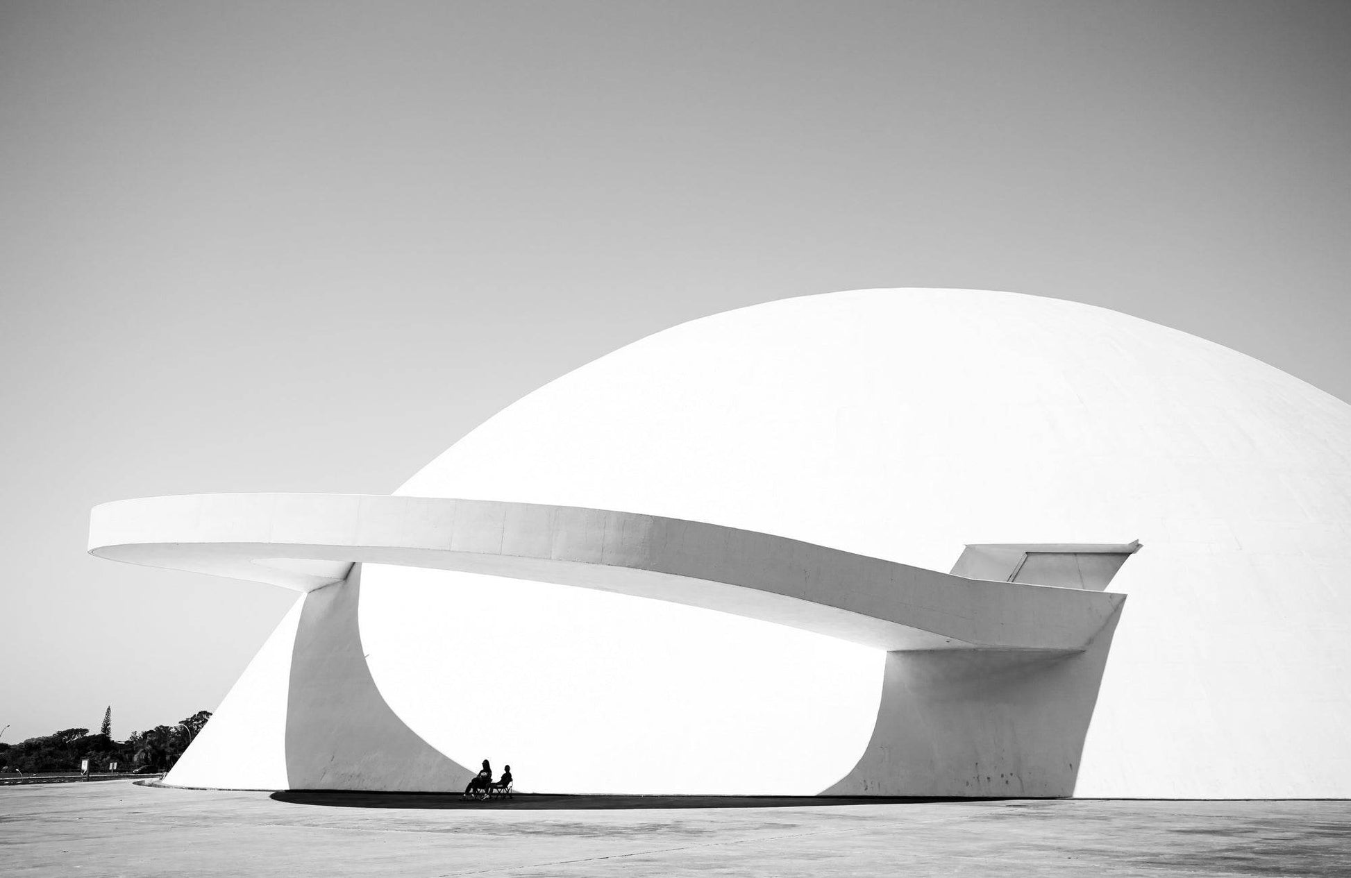 National Museum of Brazil Black & White Wall Art - beink online art store