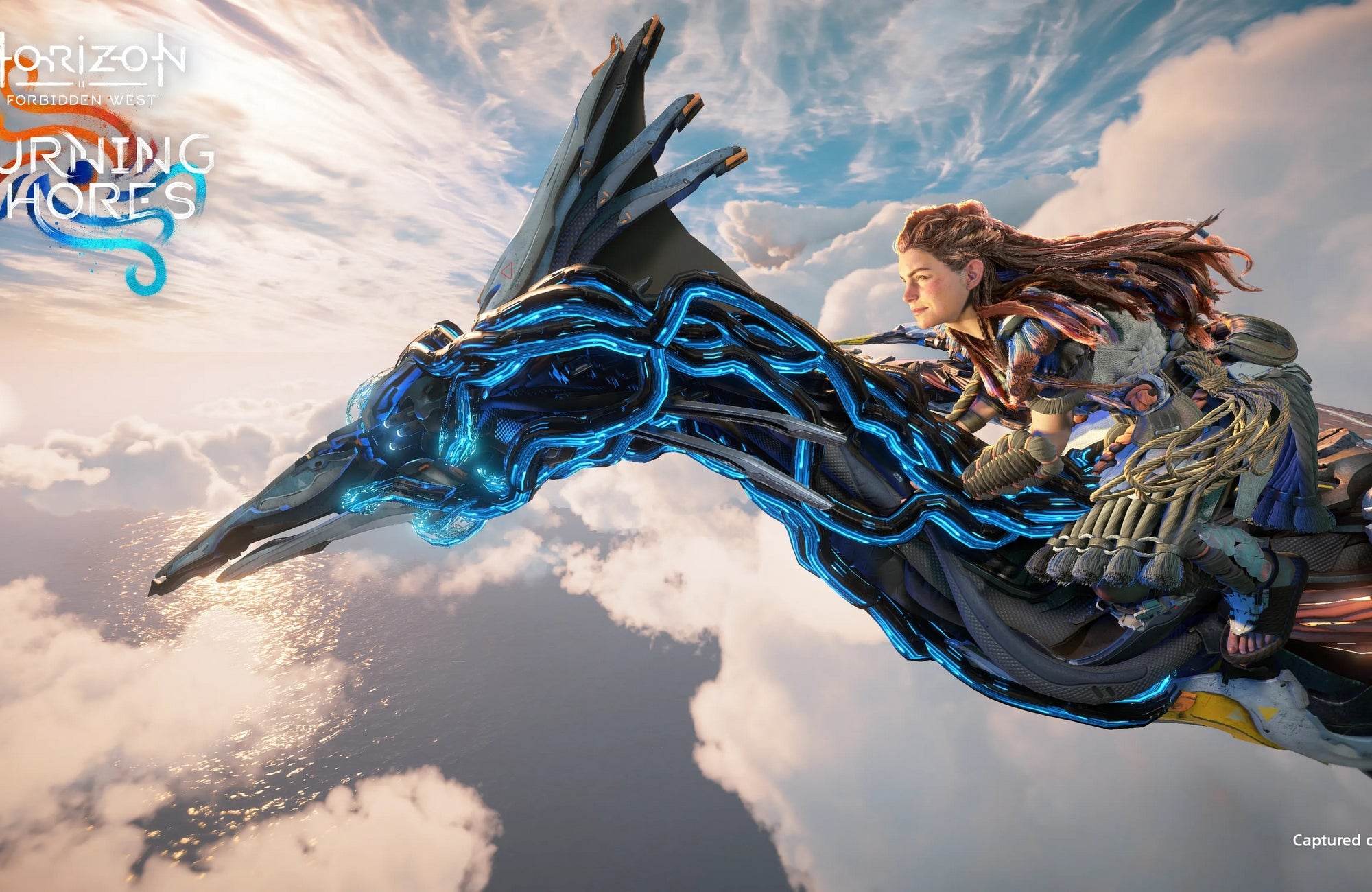 Horizon Forbidden West Gaming Wall Art - beink online art store