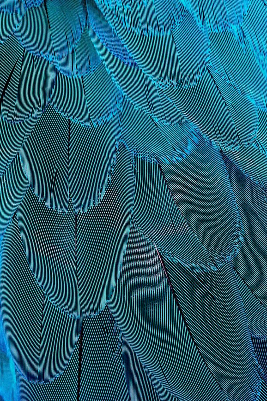 Blue Bird Feather Abstract Wall Art - beink online art store