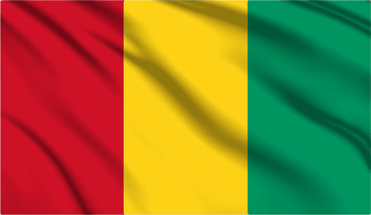 Guinea National Flag Wall Art - beink online art store