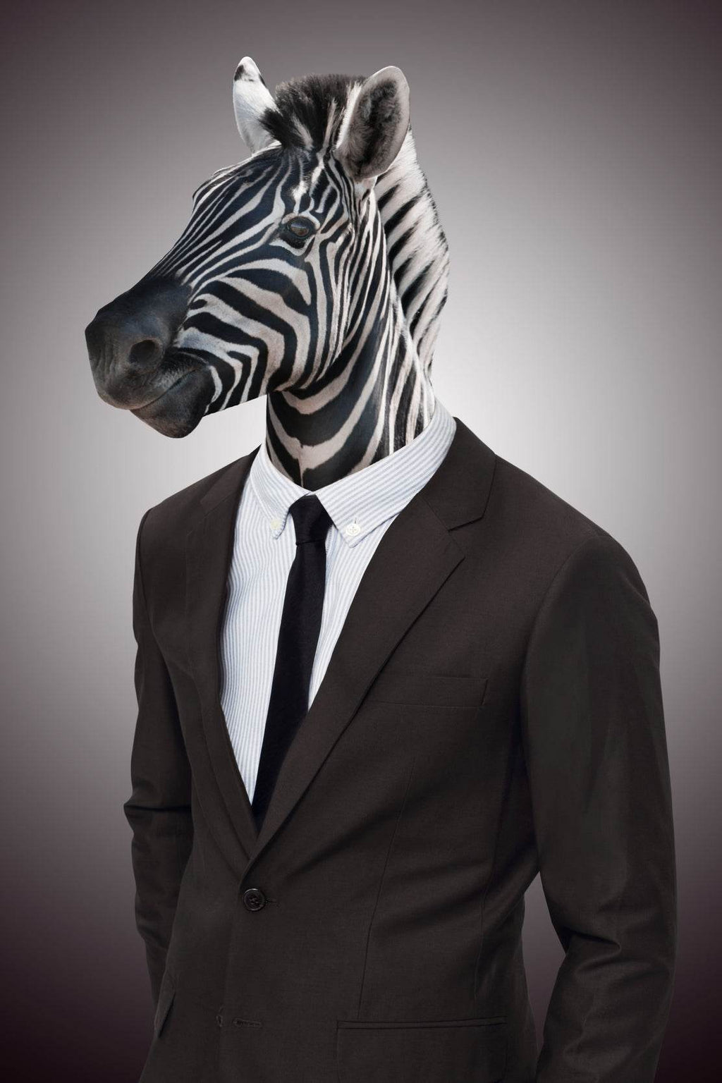 Wearing Suit Zebra Animal Wall Art - beink online art store