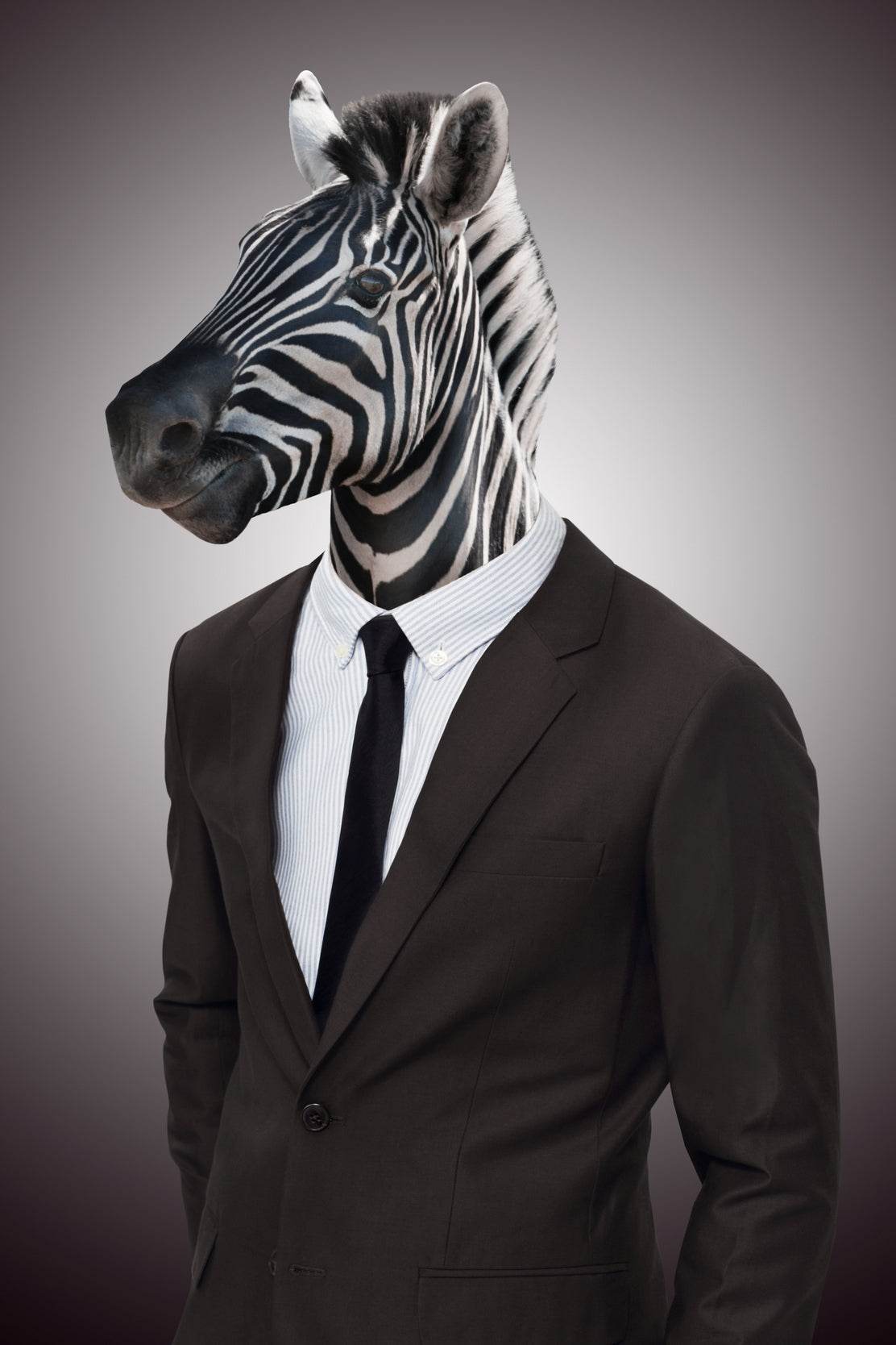 Wearing Suit Zebra Animal Wall Art - beink online art store