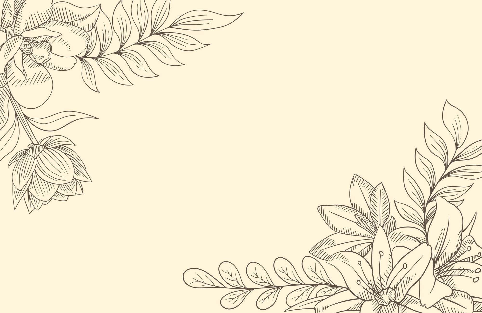 Vintage Plant Drawing Line Art - beink online art store