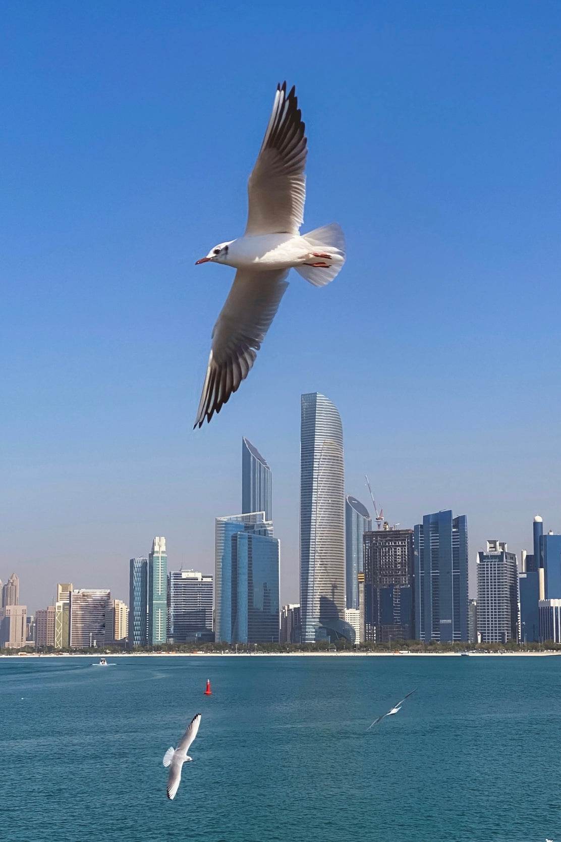 The Oceans of UAE Wall Art - beink online art store