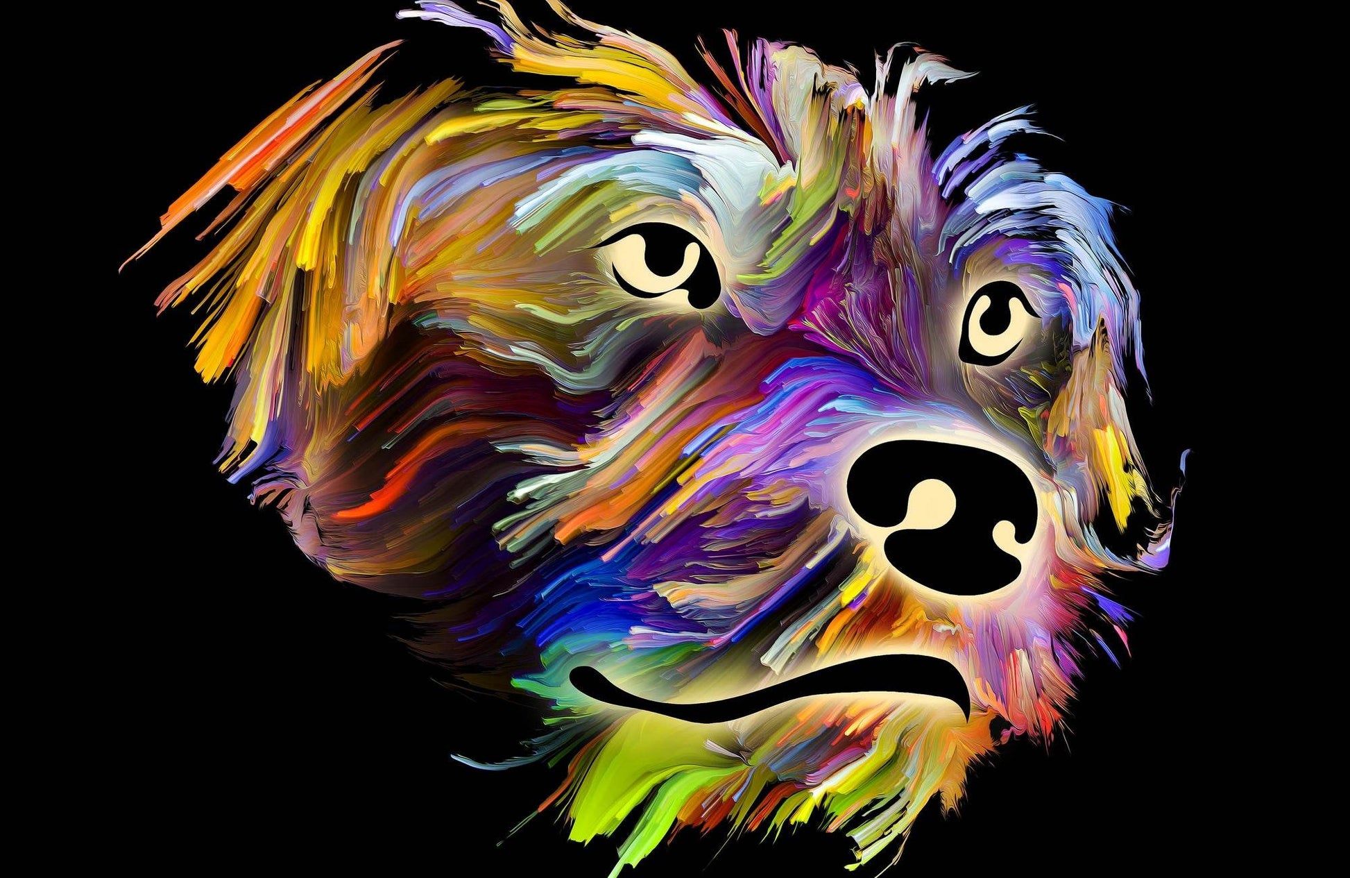 Portrait of a Dog in Bright Digital Colors on Black Background - beink online art store