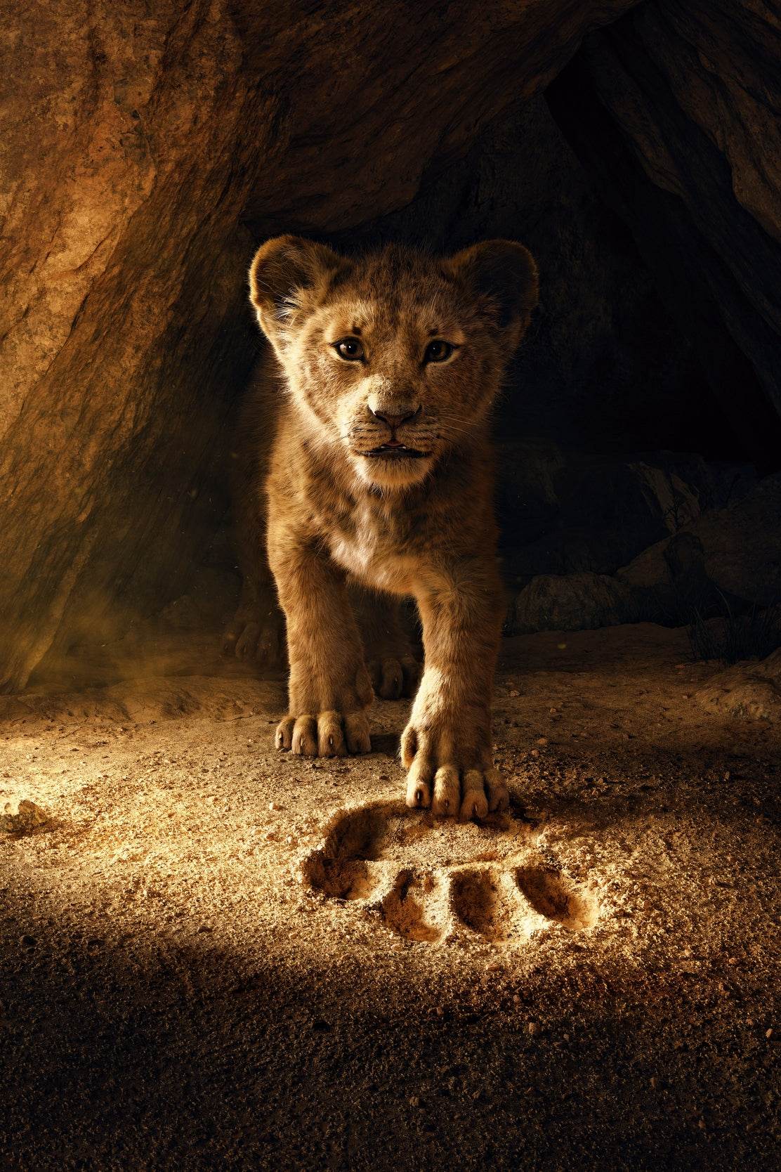 The Lion King Cub in Cave Wall Art - beink online art store