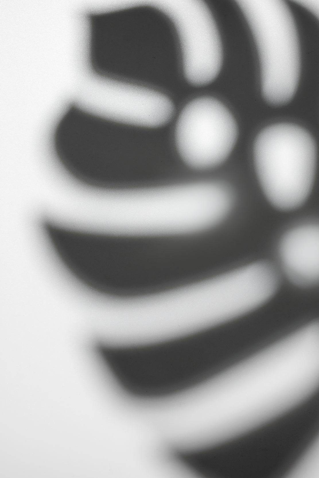 Zebra Footprint Black & White Wall Art - beink online art store