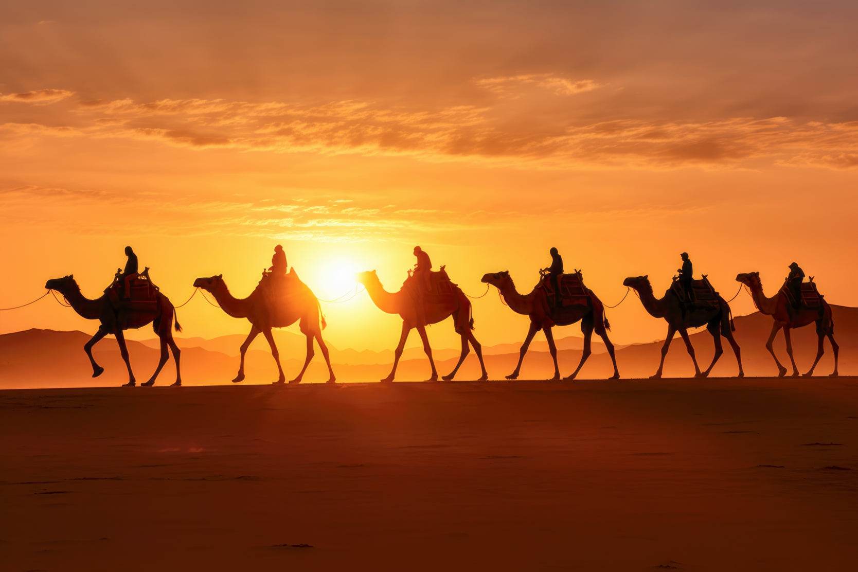 Camels throught the Desert Wall Art - beink online art store