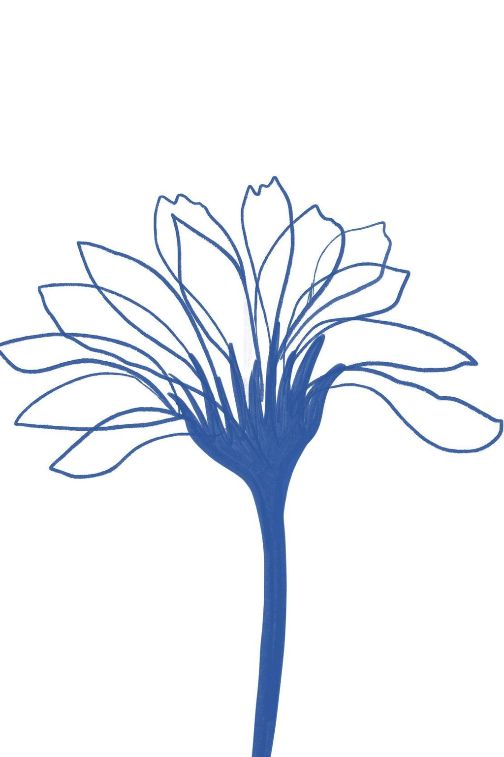 Blue Agapanthus Wall Art - beink online art store