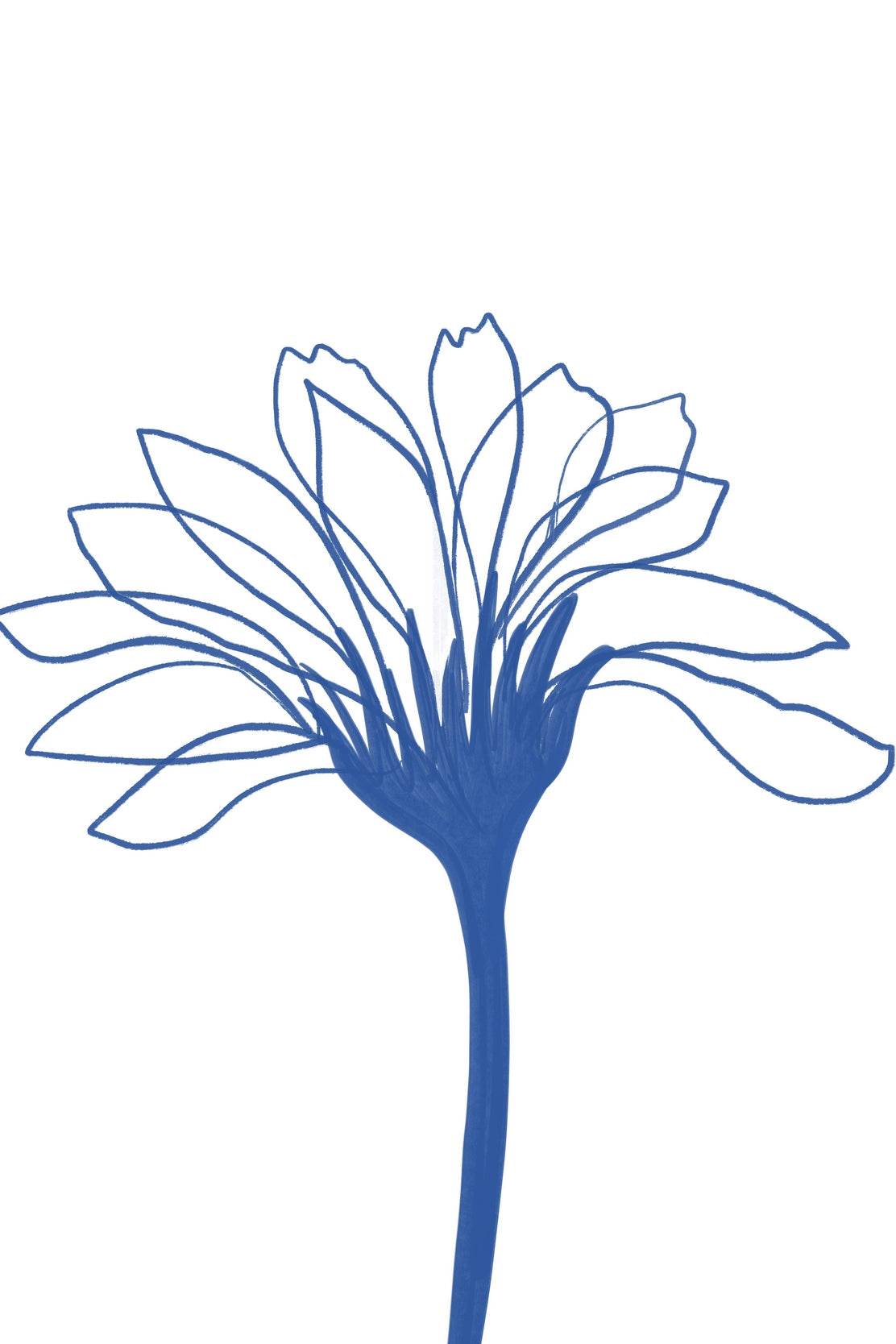 Blue Agapanthus Wall Art - beink online art store