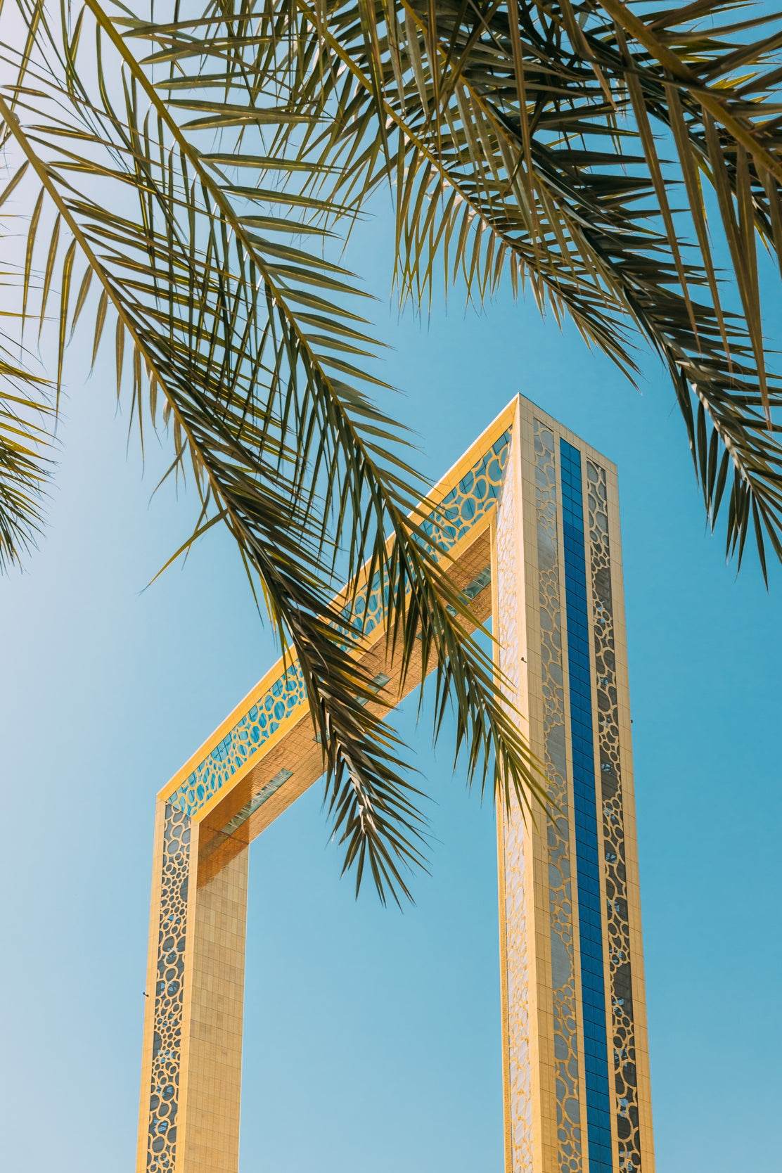 The Frame and a Palm Wall Art - beink online art store