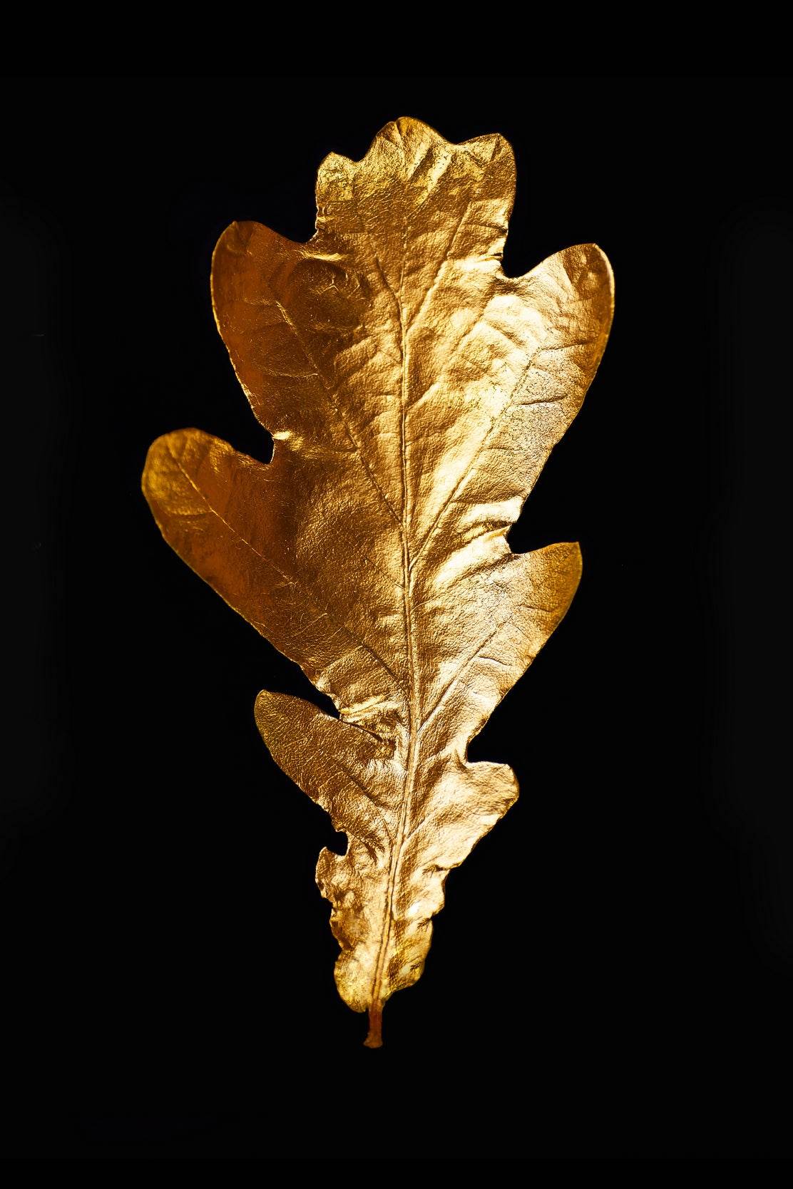 Golden Oak Leaf Wall Art - beink online art store
