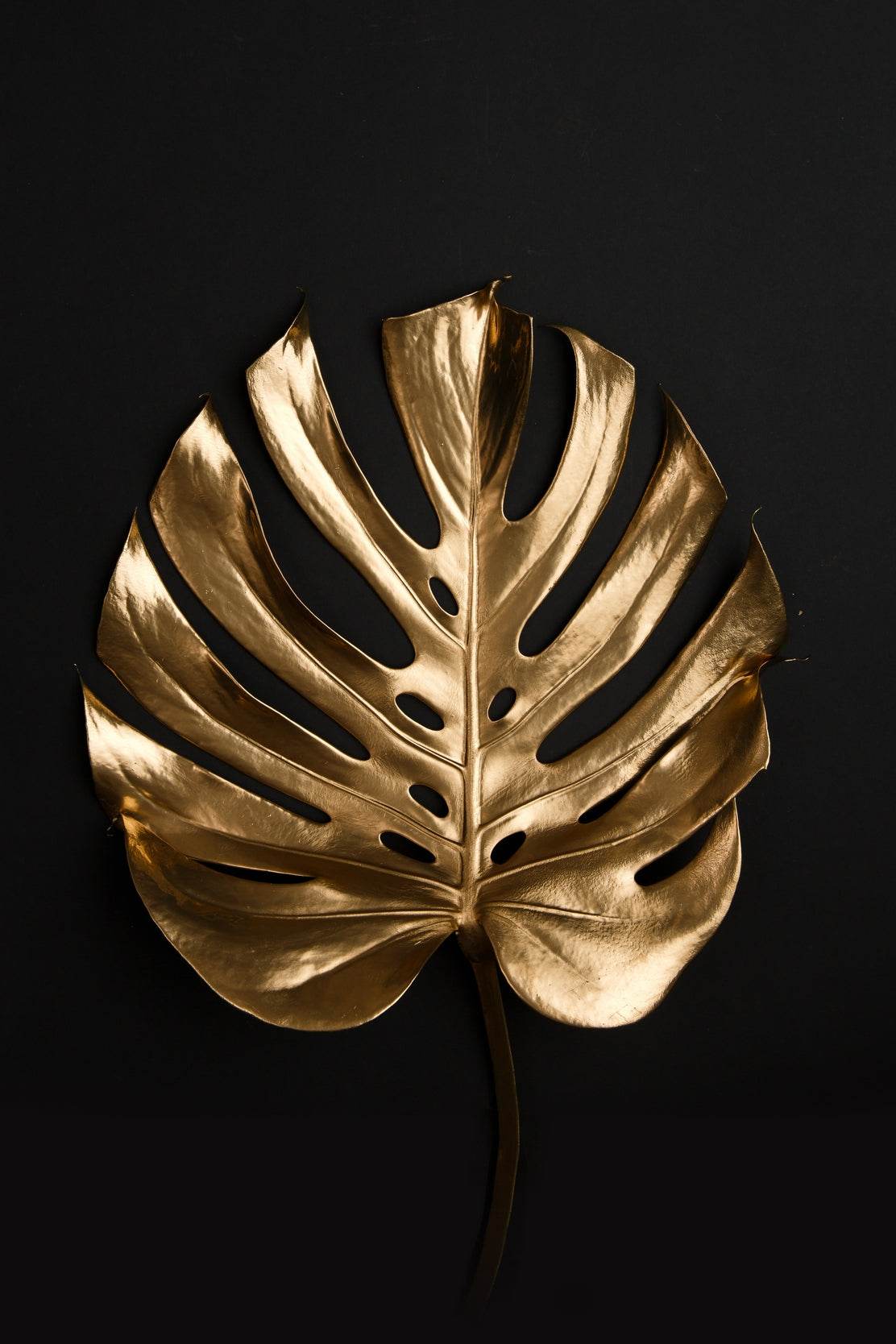Golden Monstera Leaf Wall Art - beink online art store
