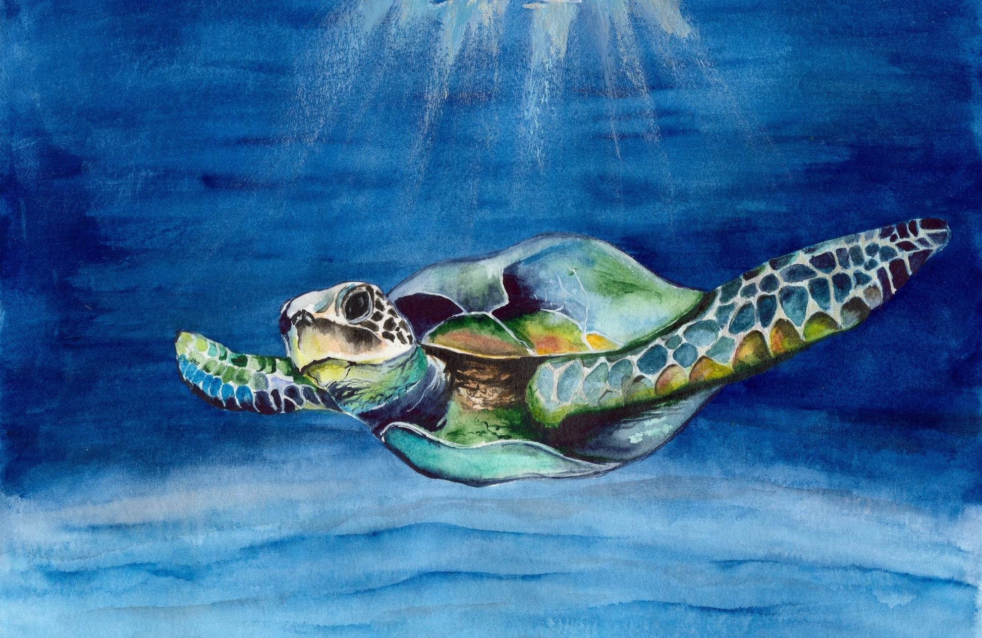 Watercolor Picture of a Sea Turtle in Blue Water With Raays of Light - beink online art store