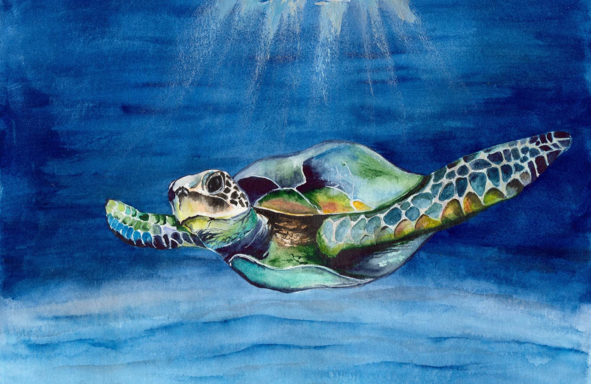Watercolor Picture of a Sea Turtle in Blue Water With Raays of Light - beink online art store