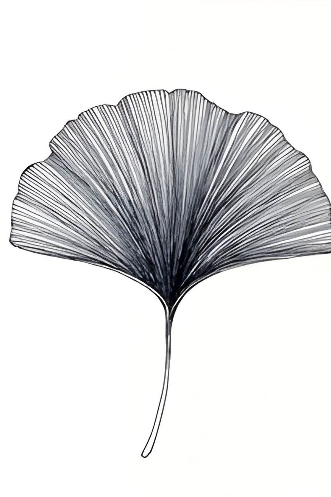 Black Color Gingko Leaf Sktech Wall Art - beink online art store