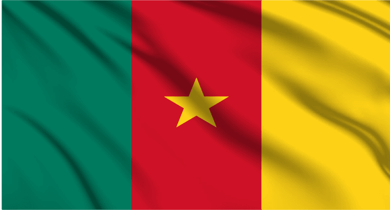 Cameroon National Flag Wall Art - beink online art store