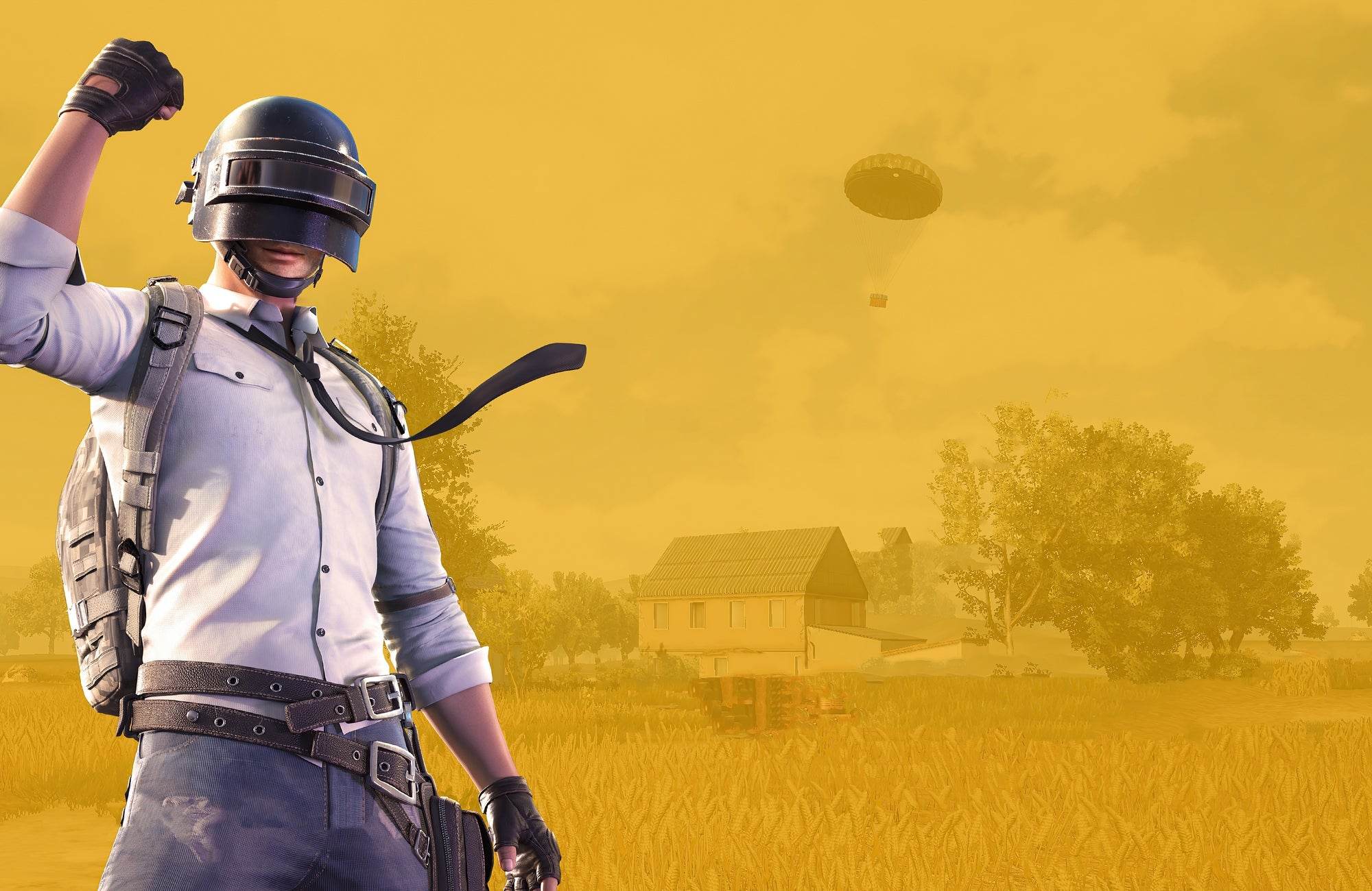 PUBG Gaming Wall Art - beink online art store
