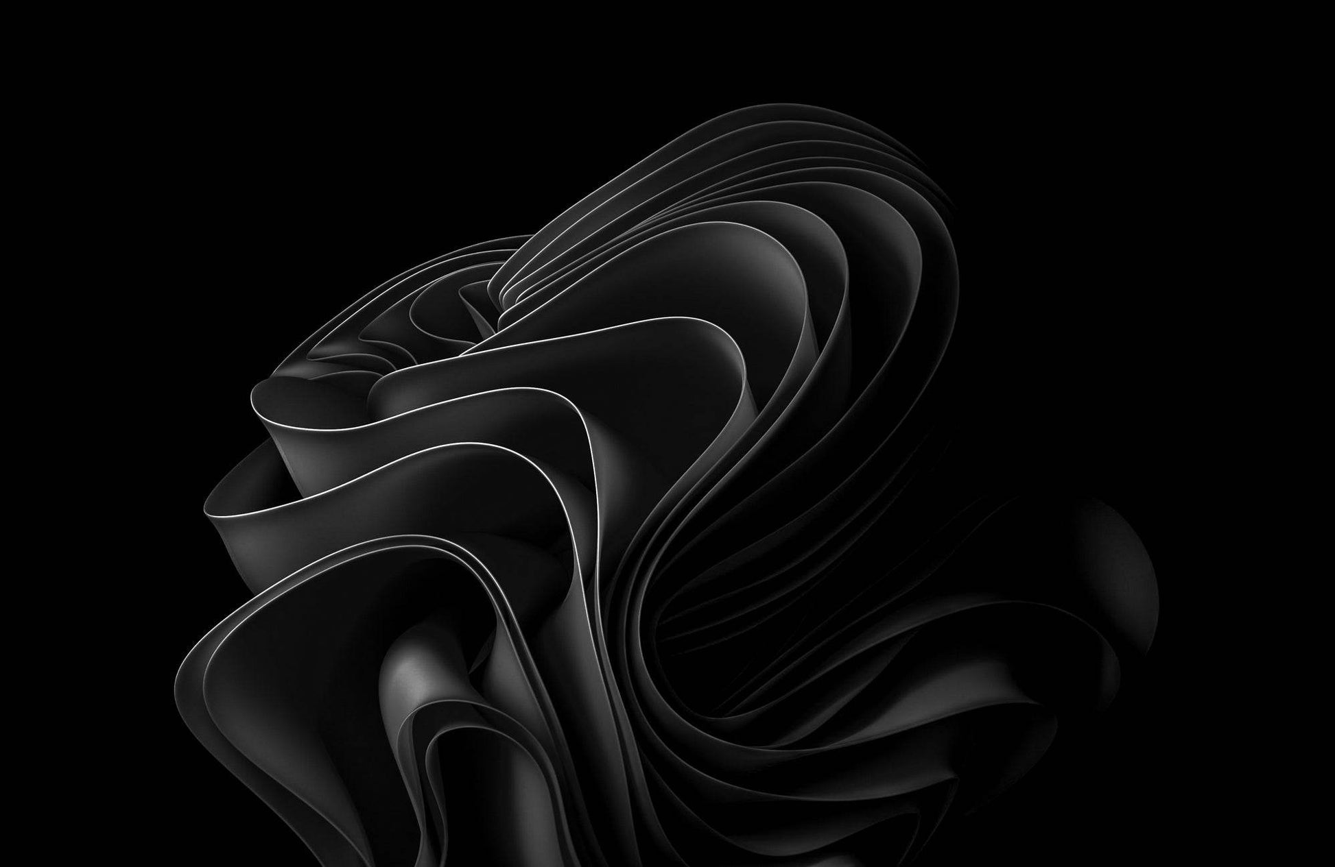 Black Lotus Black & White Wall Art - beink online art store