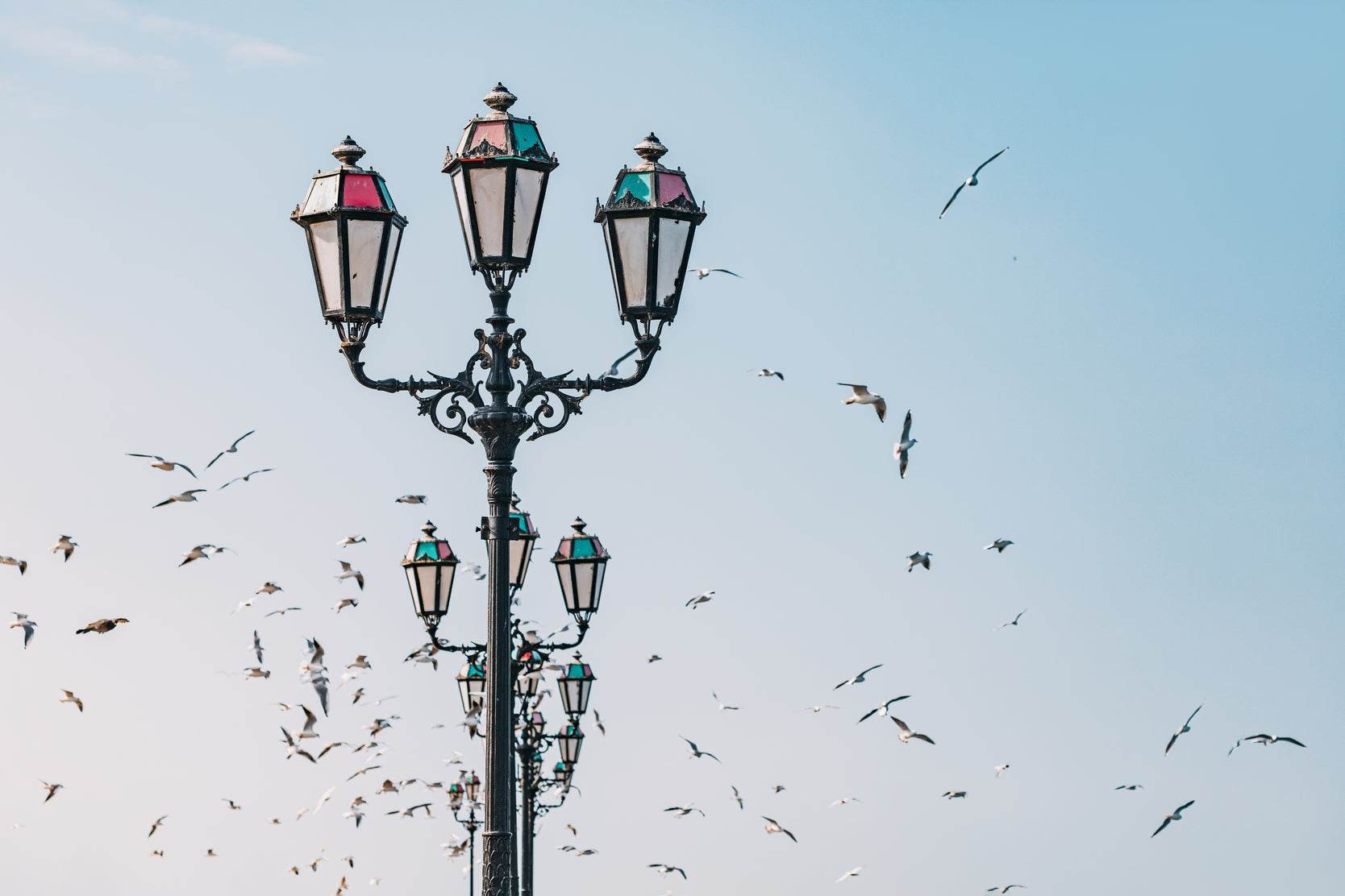Vintage Lamps and Birds Wall Art - beink online art store