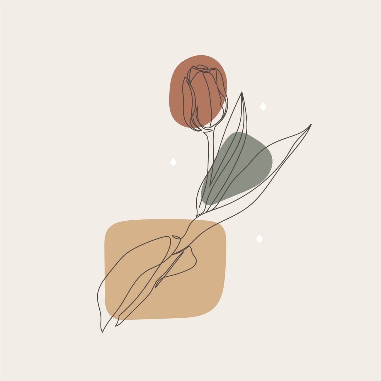 Anemone Flower Bud Line Art - beink online art store